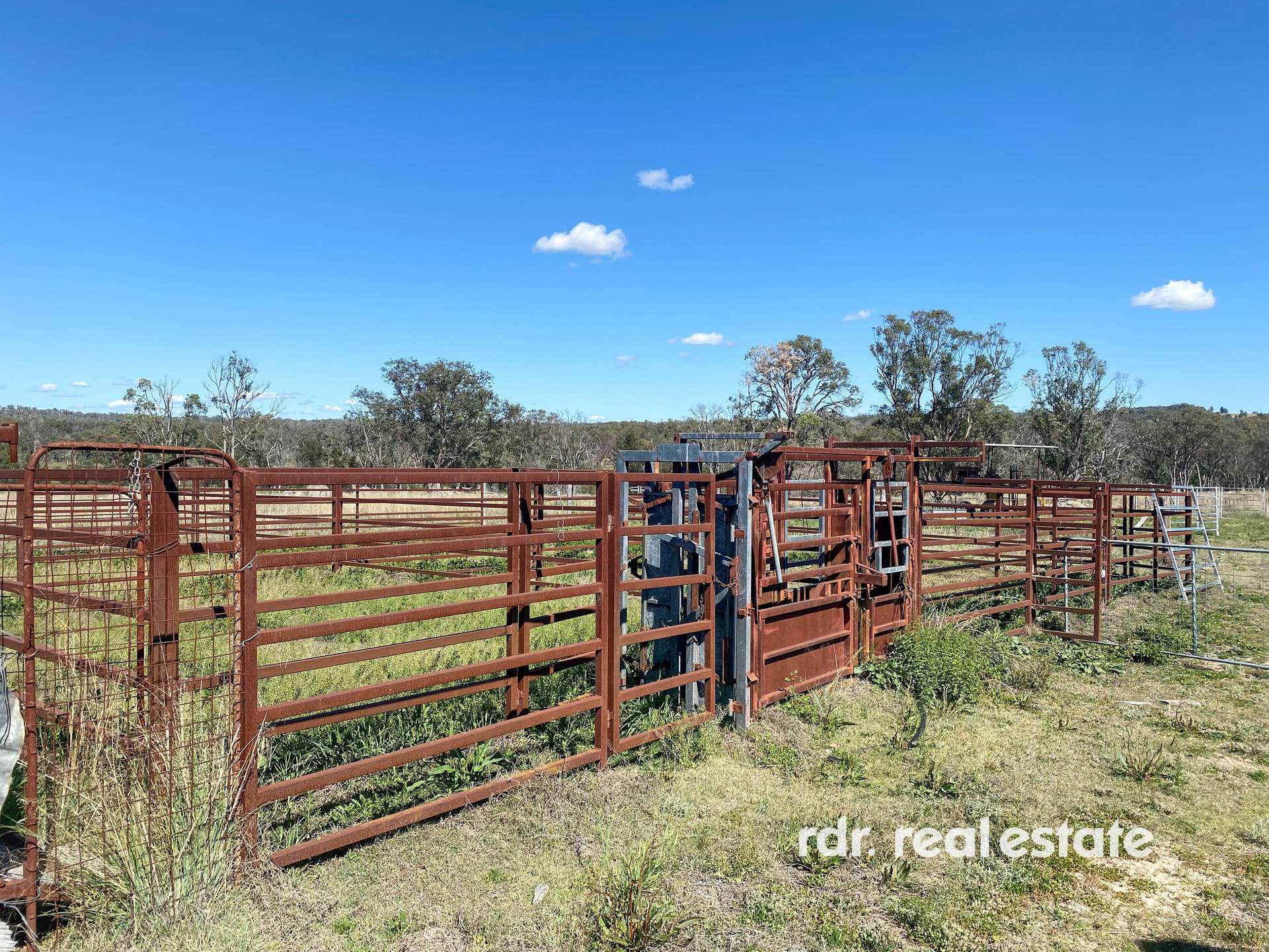 1223 Karoola Road, GRAMAN, Inverell For Sale by Farmbuy.com - image 5