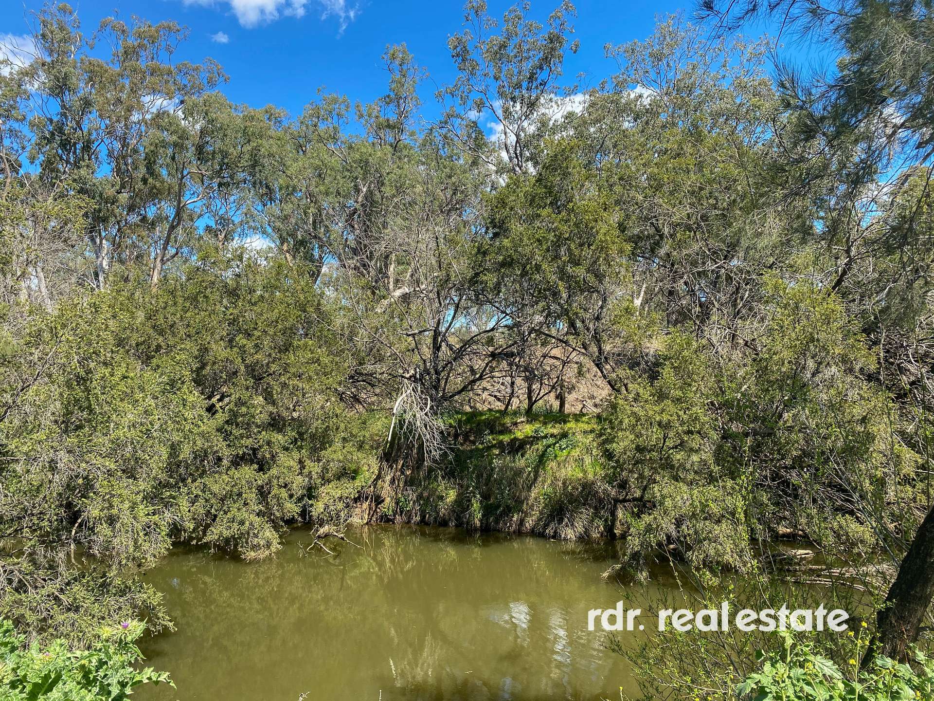 1223 Karoola Road, GRAMAN, Inverell For Sale by Farmbuy.com - image 14