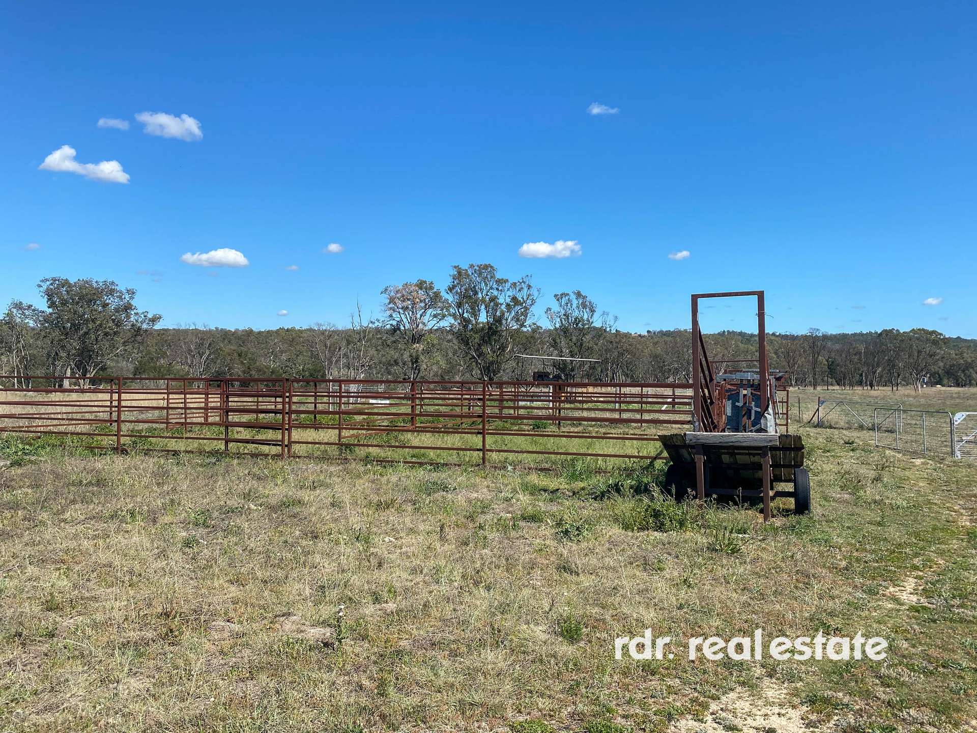 1223 Karoola Road, GRAMAN, Inverell For Sale by Farmbuy.com - image 6