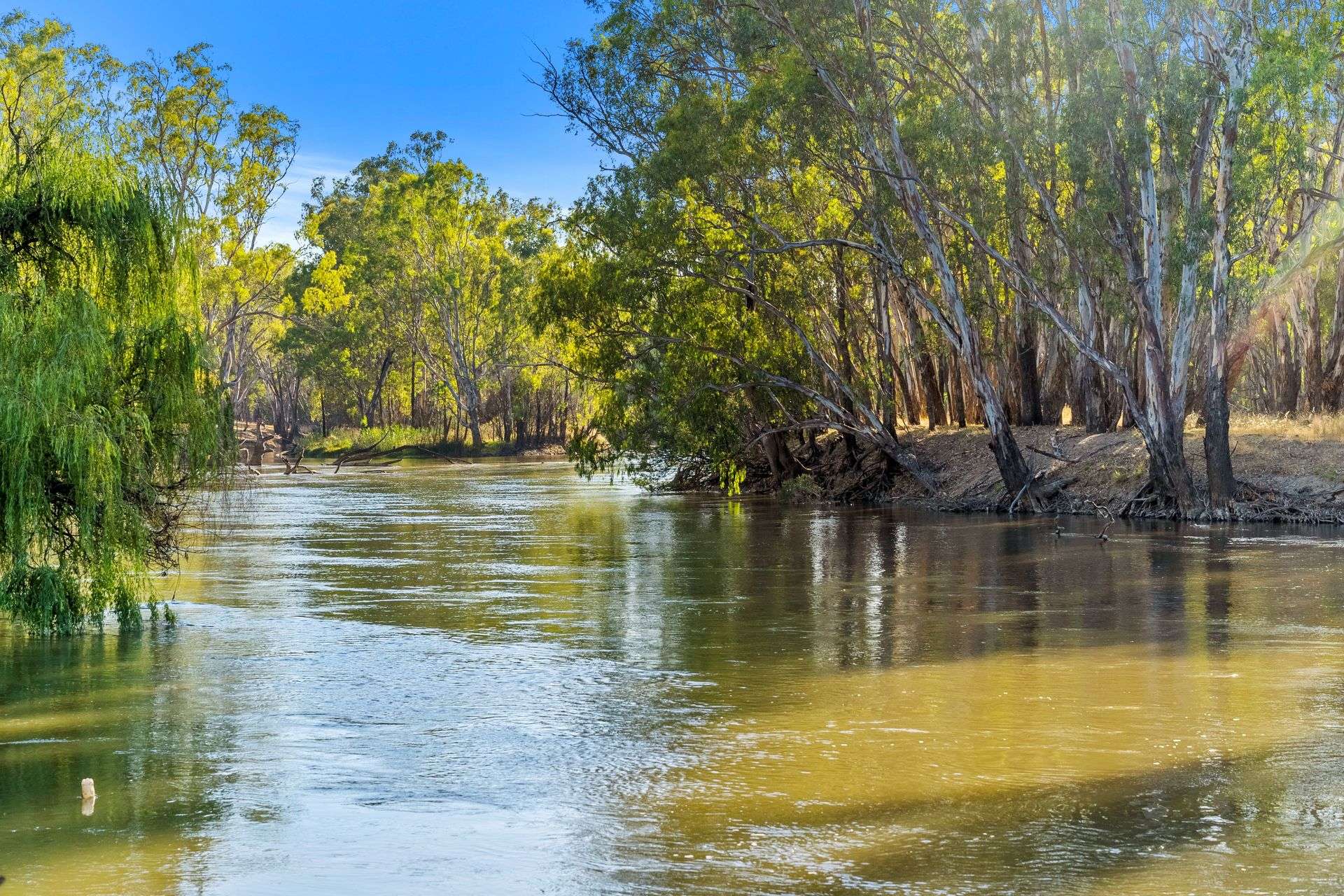 92A Boiling Down Lane, Corowa For Sale by Farmbuy.com - image 2