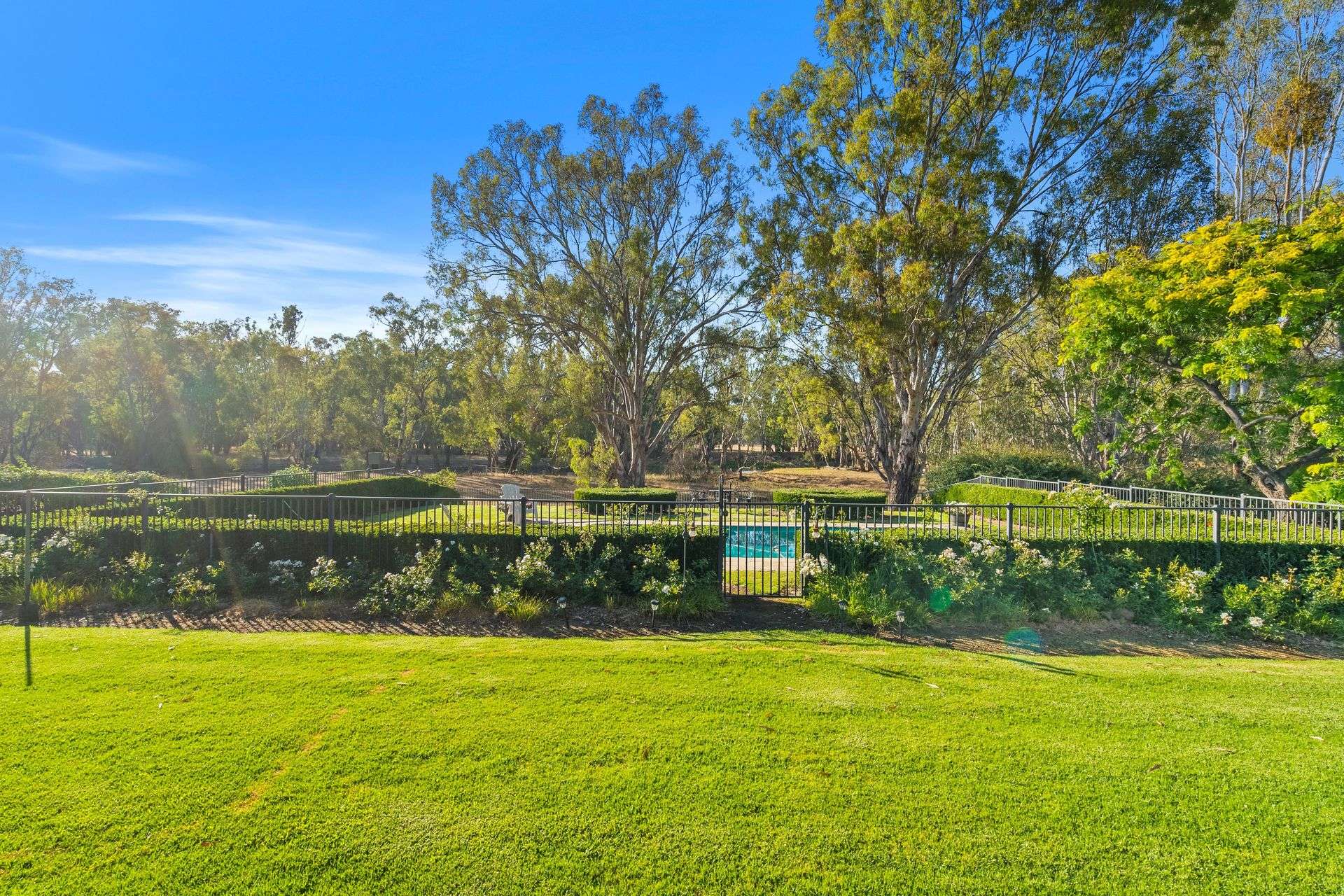 92A Boiling Down Lane, Corowa For Sale by Farmbuy.com - image 14