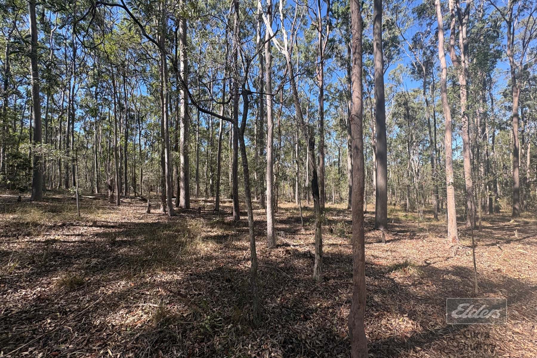 Lot 116 Inman Street, Tiaro For Sale by Farmbuy.com - image 6