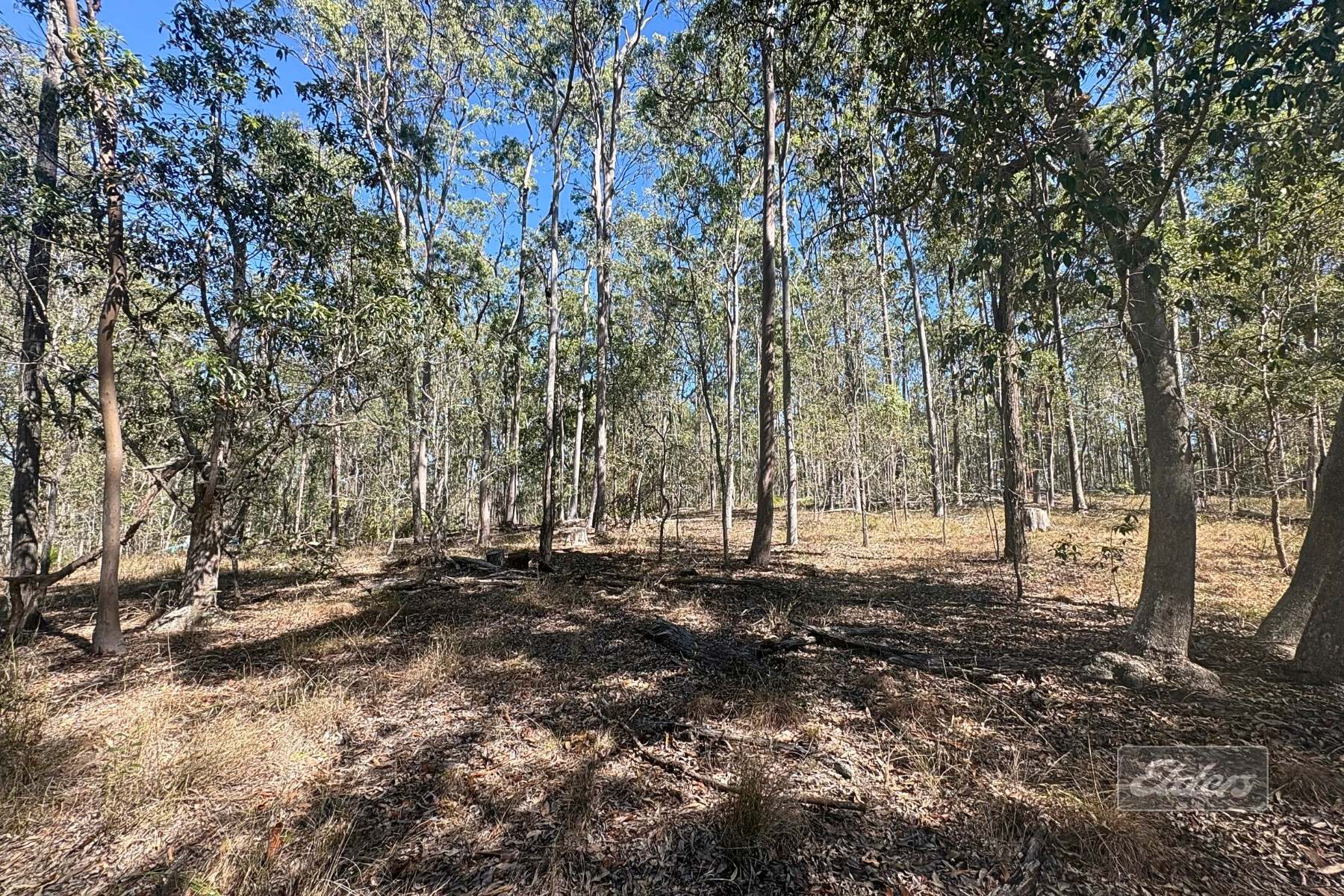 Lot 116 Inman Street, Tiaro For Sale by Farmbuy.com - image 3