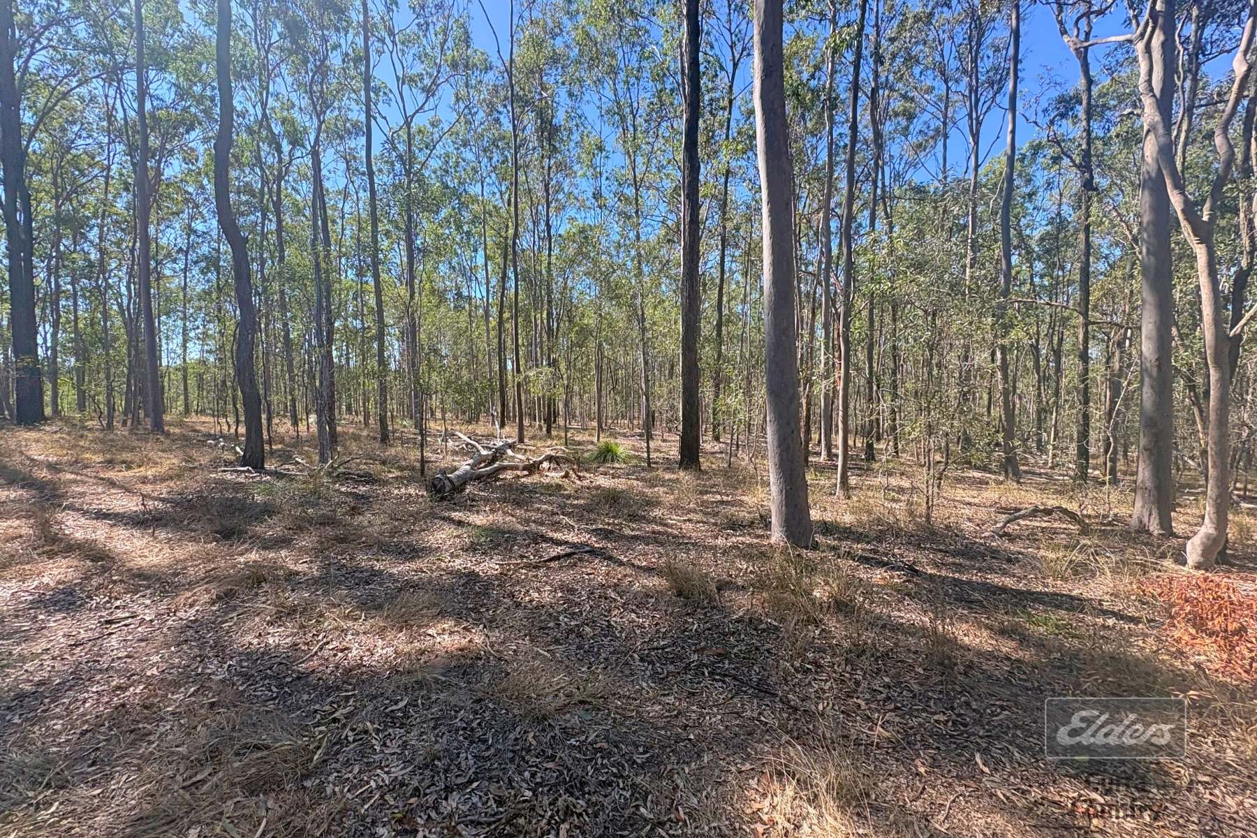 Lot 116 Inman Street, Tiaro For Sale by Farmbuy.com - image 2