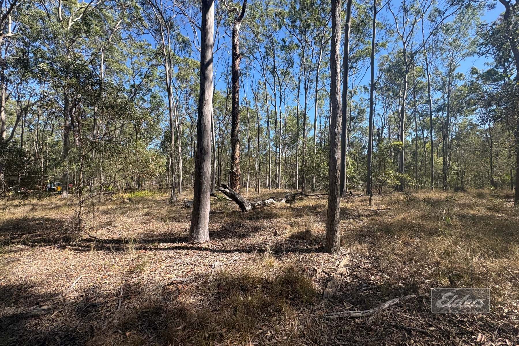 Lot 116 Inman Street, Tiaro For Sale by Farmbuy.com - image 5