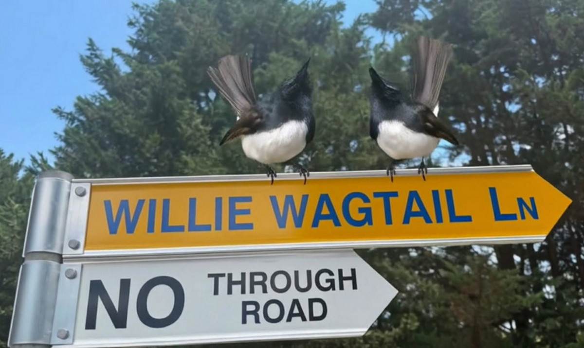 Lot 2, 178 Willie Wagtail Lane, Bega For Sale by Farmbuy.com - image 2
