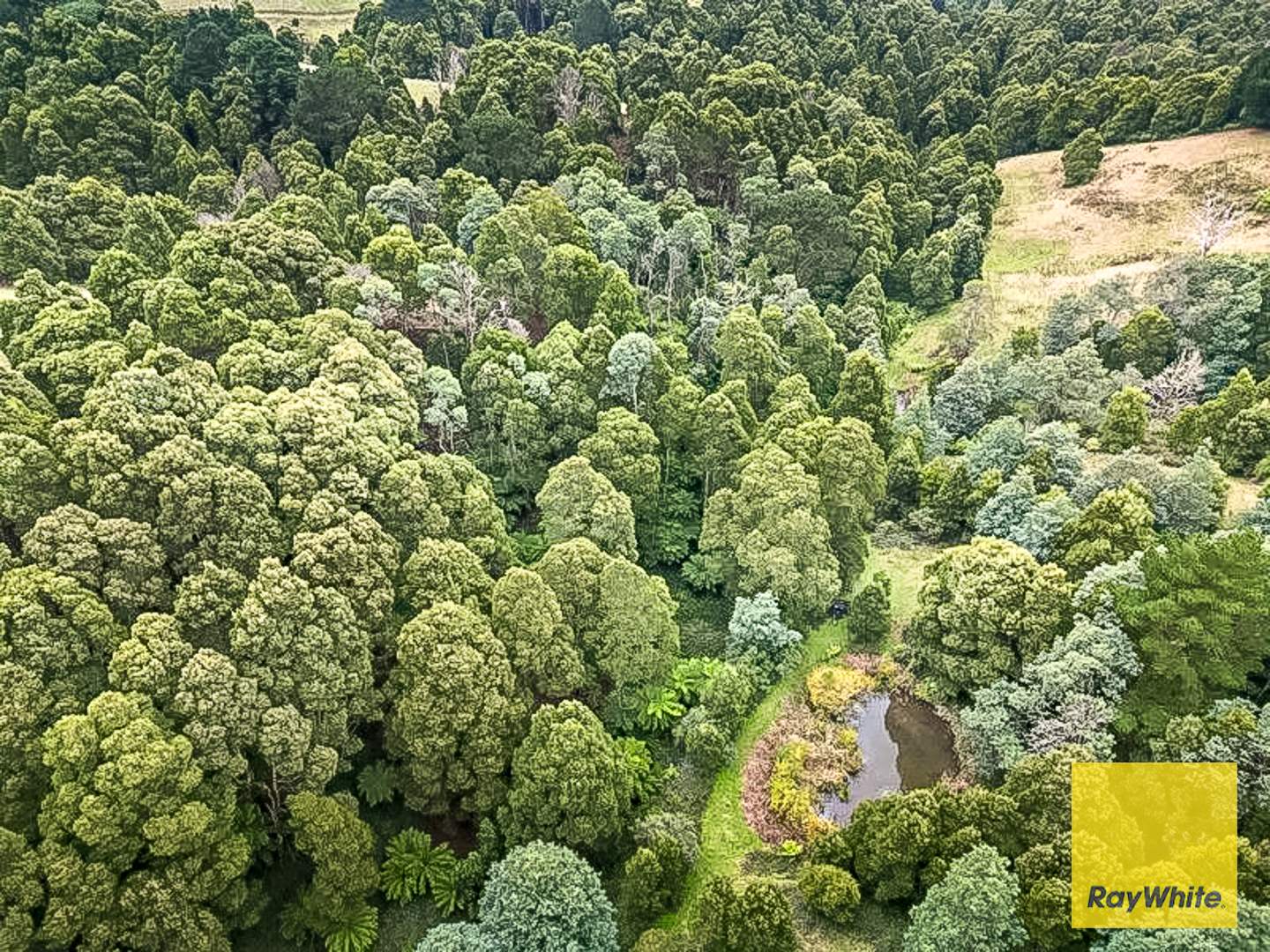 478 Foster-Mirboo Rd, Dollar For Sale by Farmbuy.com - image 4