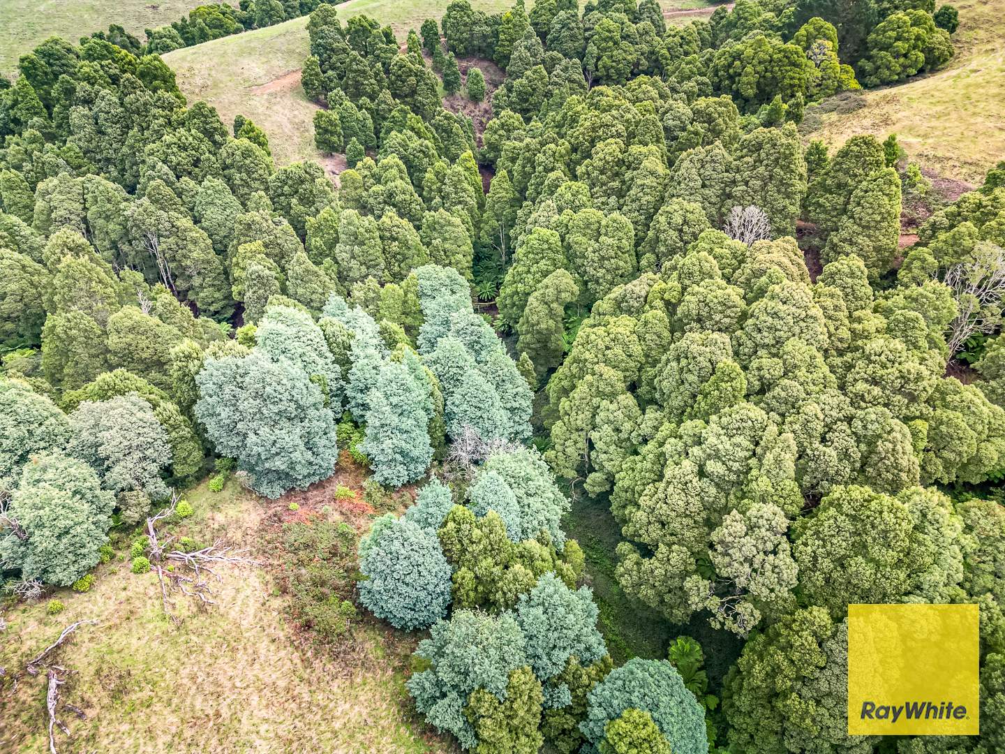 478 Foster-Mirboo Rd, Dollar For Sale by Farmbuy.com - image 5