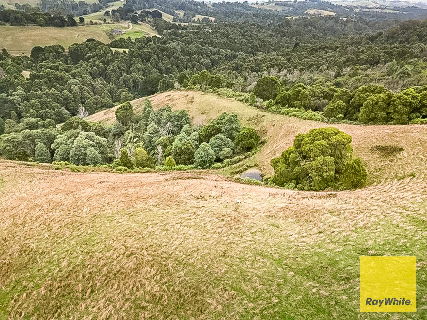 478 Foster-Mirboo Rd, Dollar For Sale by Farmbuy.com - image 2