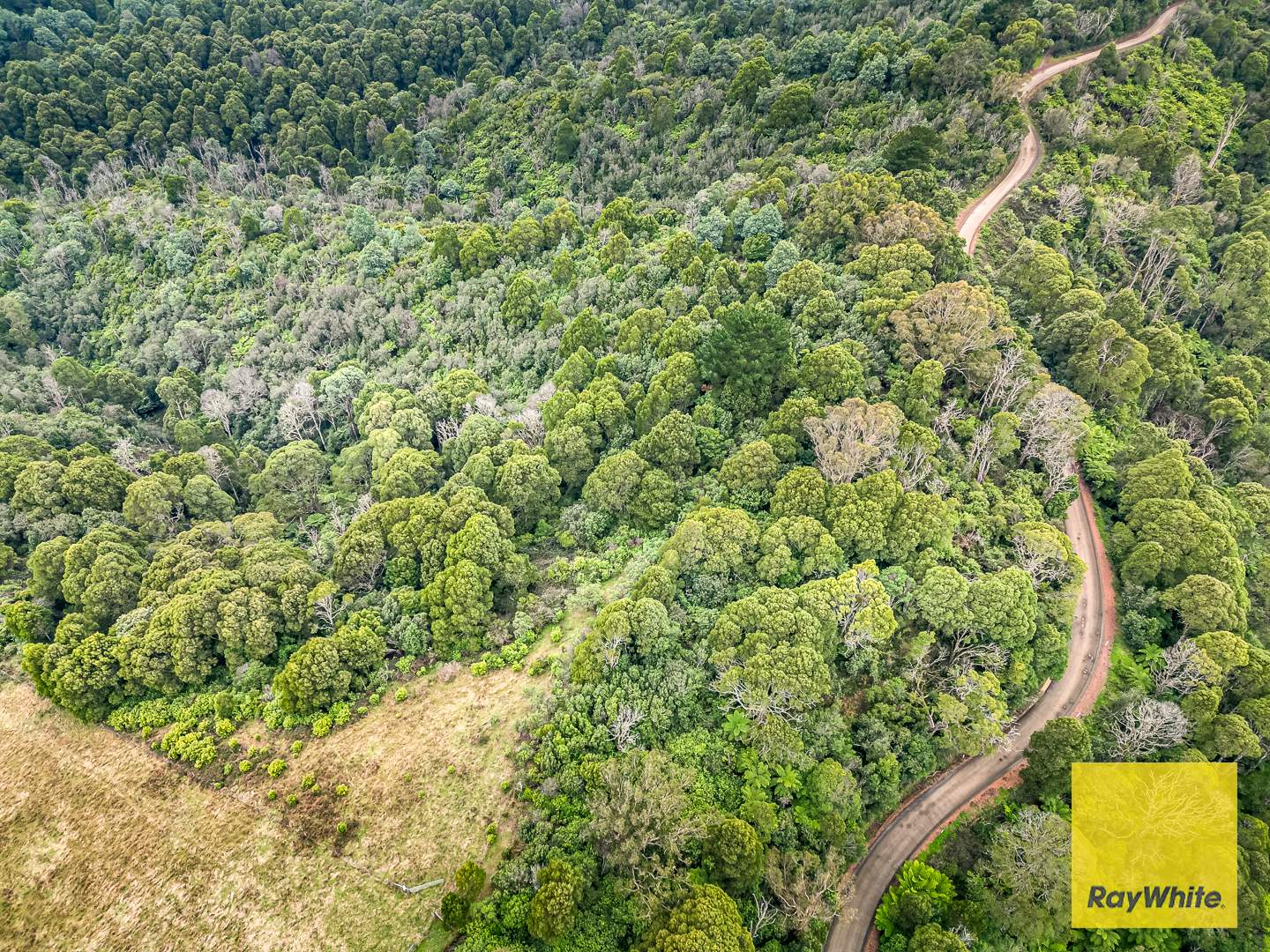 478 Foster-Mirboo Rd, Dollar For Sale by Farmbuy.com - image 3