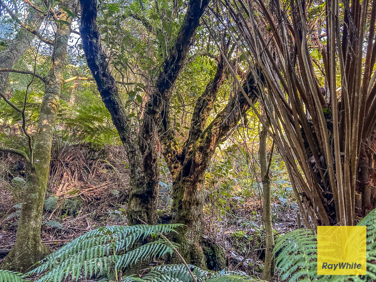478 Foster-Mirboo Rd, Dollar For Sale by Farmbuy.com - image 6