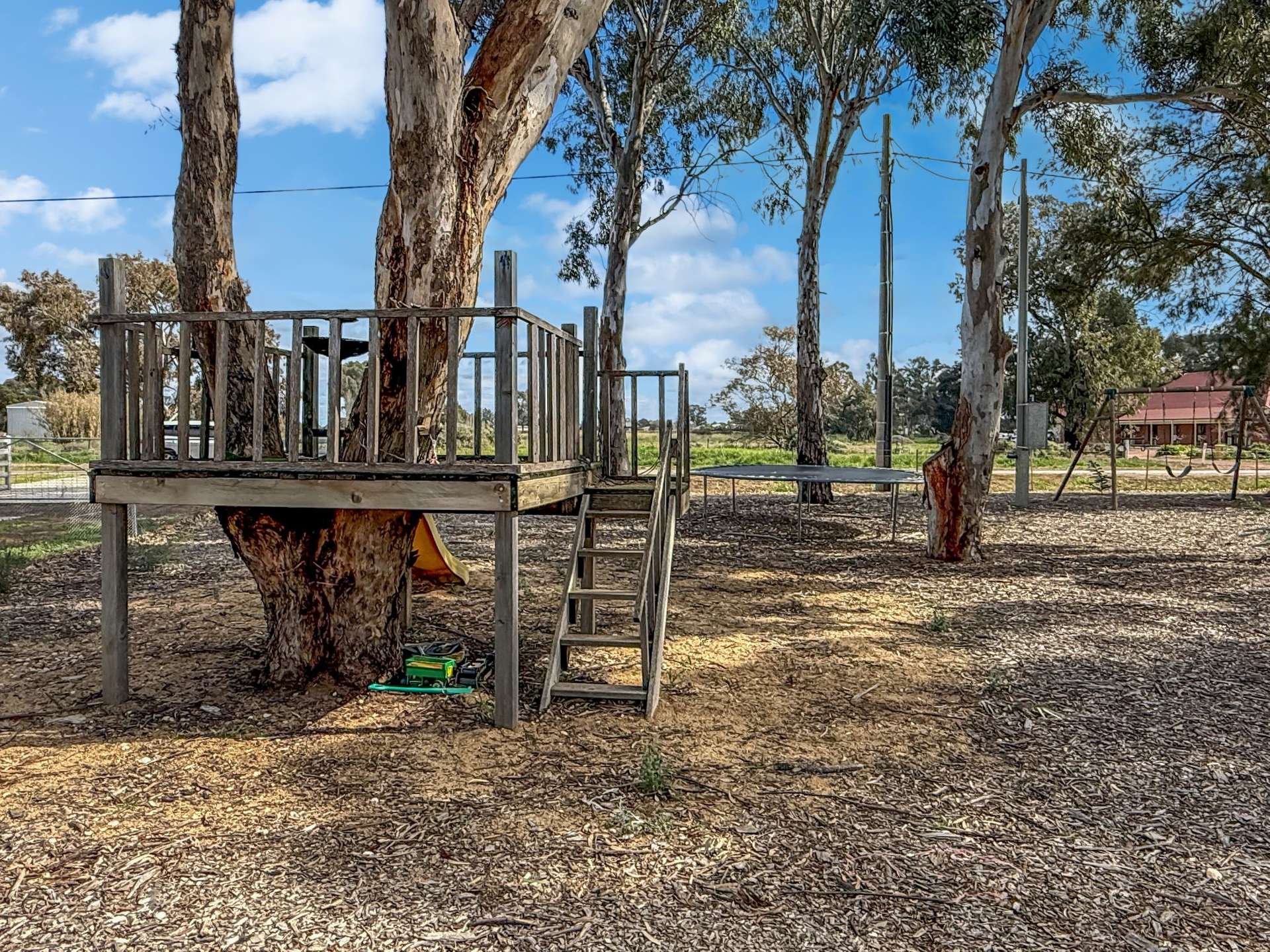 336 Petersham Road, Leeton For Sale by Farmbuy.com - image 20