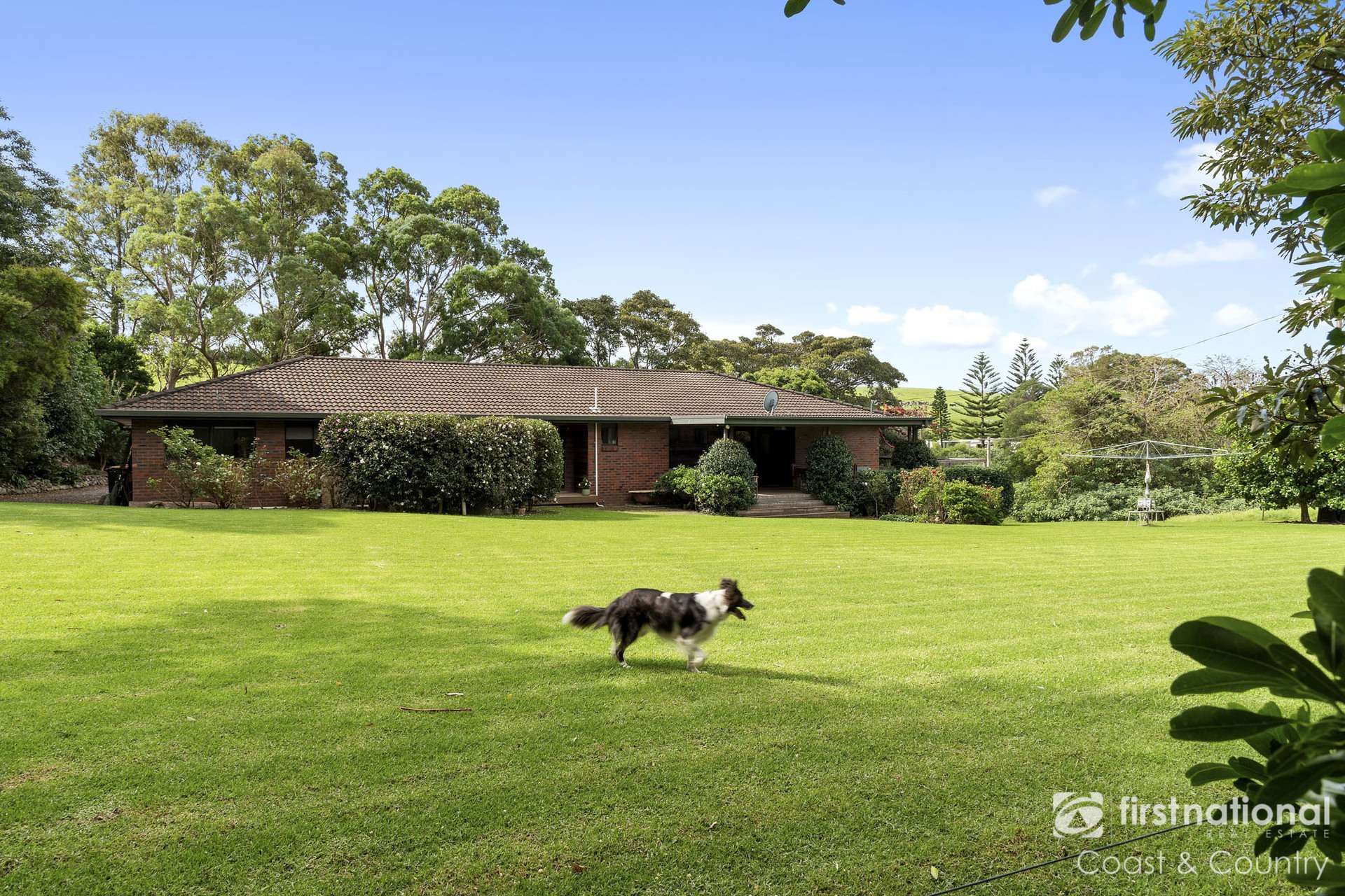 141 Willowvale Road, Willow Vale For Sale by Farmbuy.com - image 29