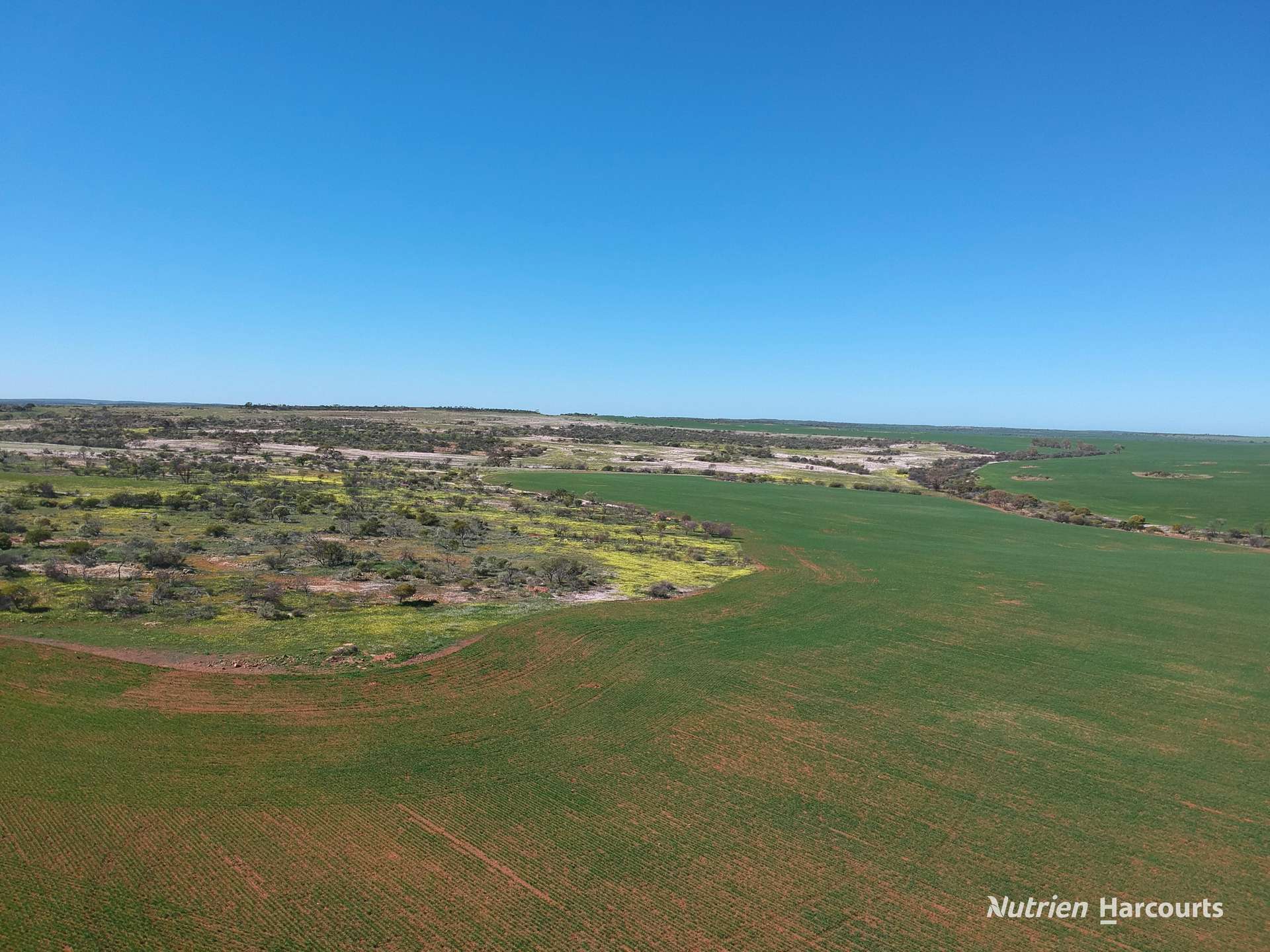 1141 Arrinooka Road, Canna For Sale by Farmbuy.com - image 6