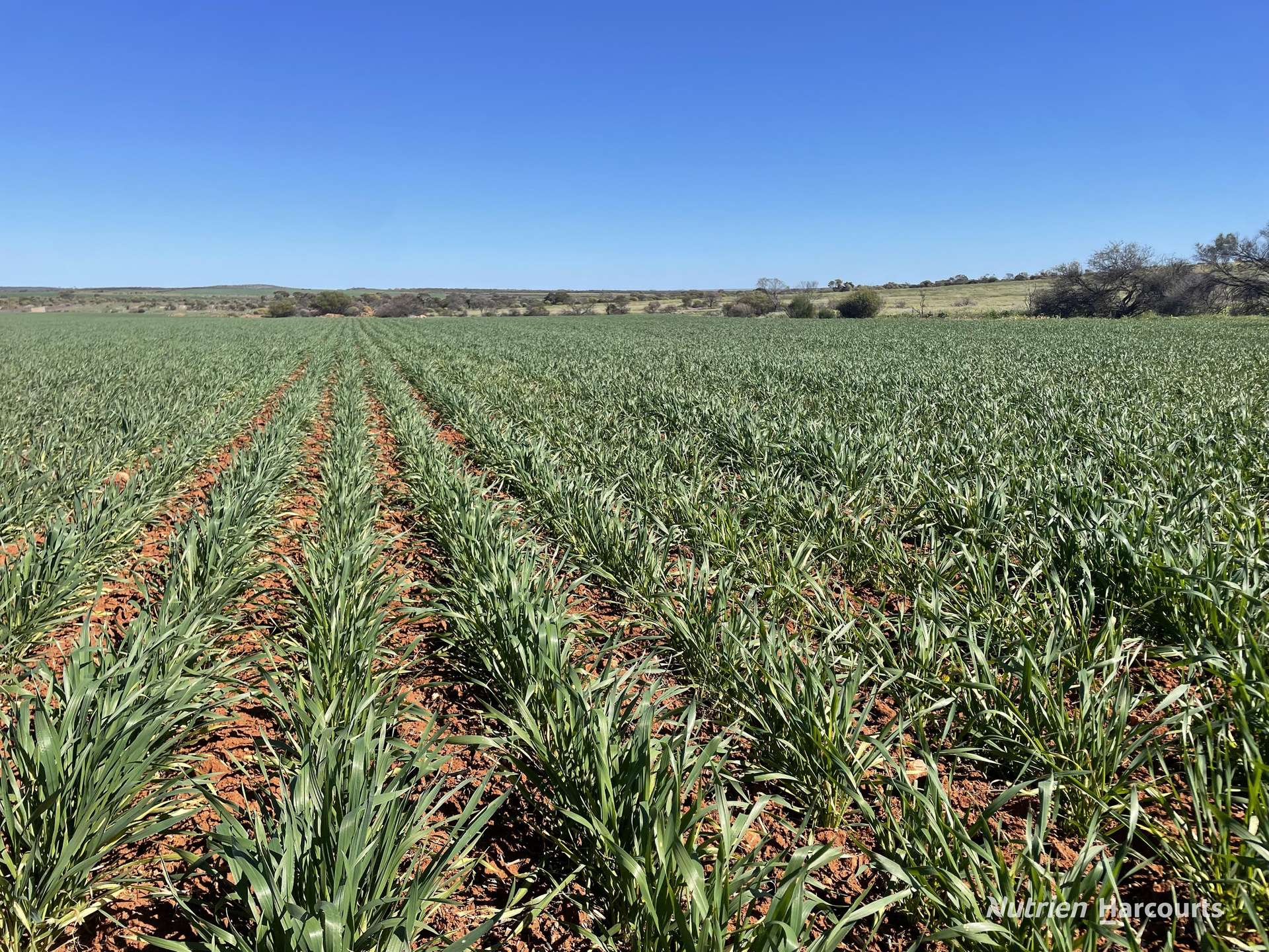 1141 Arrinooka Road, Canna For Sale by Farmbuy.com - image 24