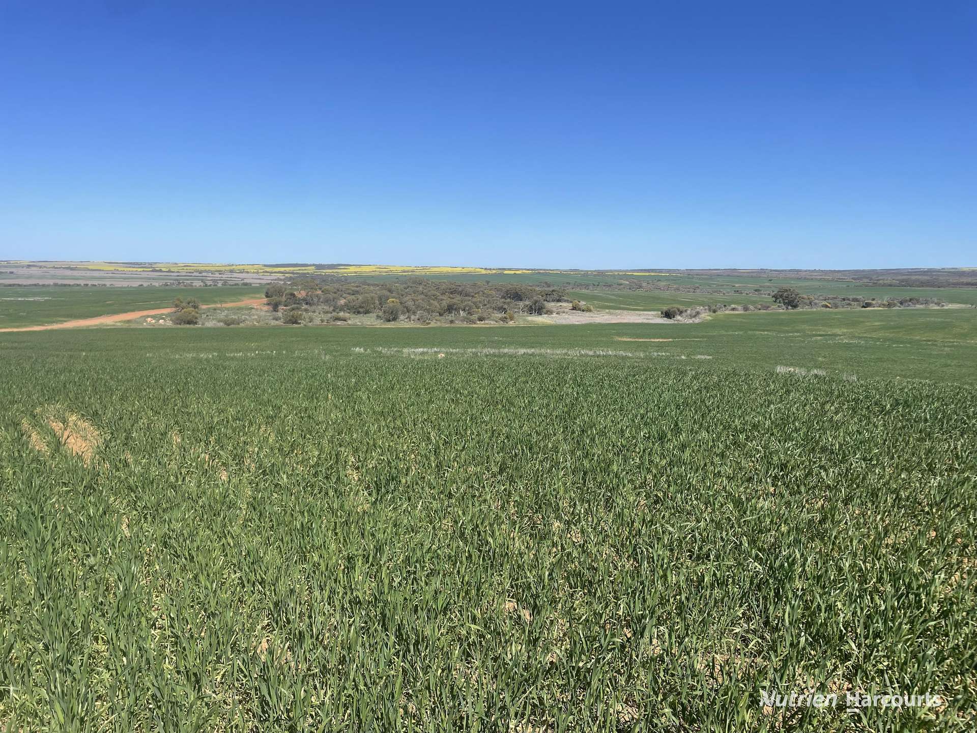 1141 Arrinooka Road, Canna For Sale by Farmbuy.com - image 29