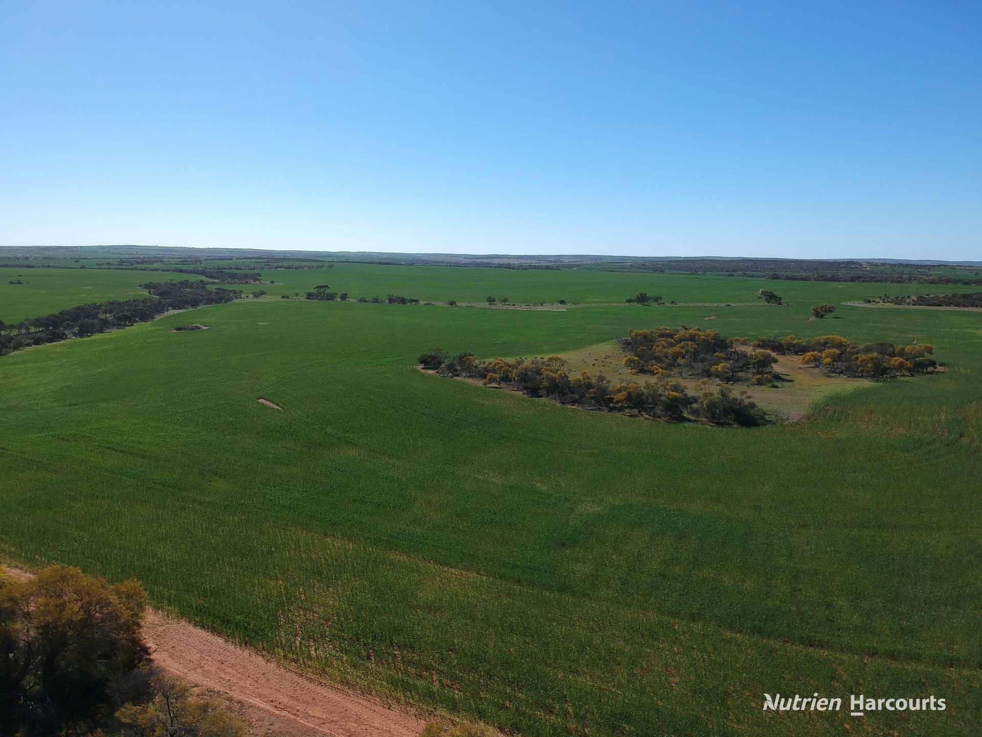 1141 Arrinooka Road, Canna For Sale by Farmbuy.com - image 4