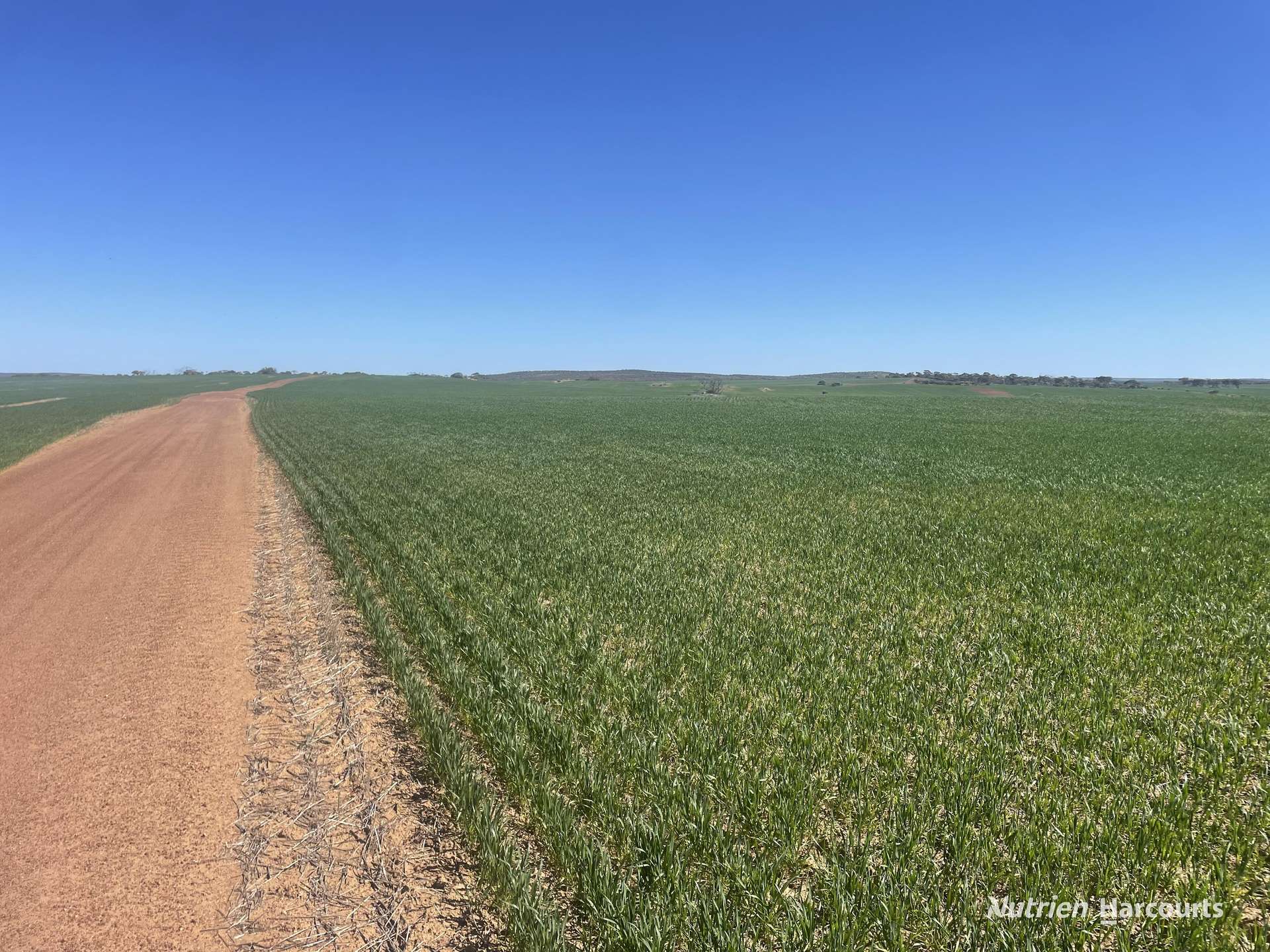 1141 Arrinooka Road, Canna For Sale by Farmbuy.com - image 26