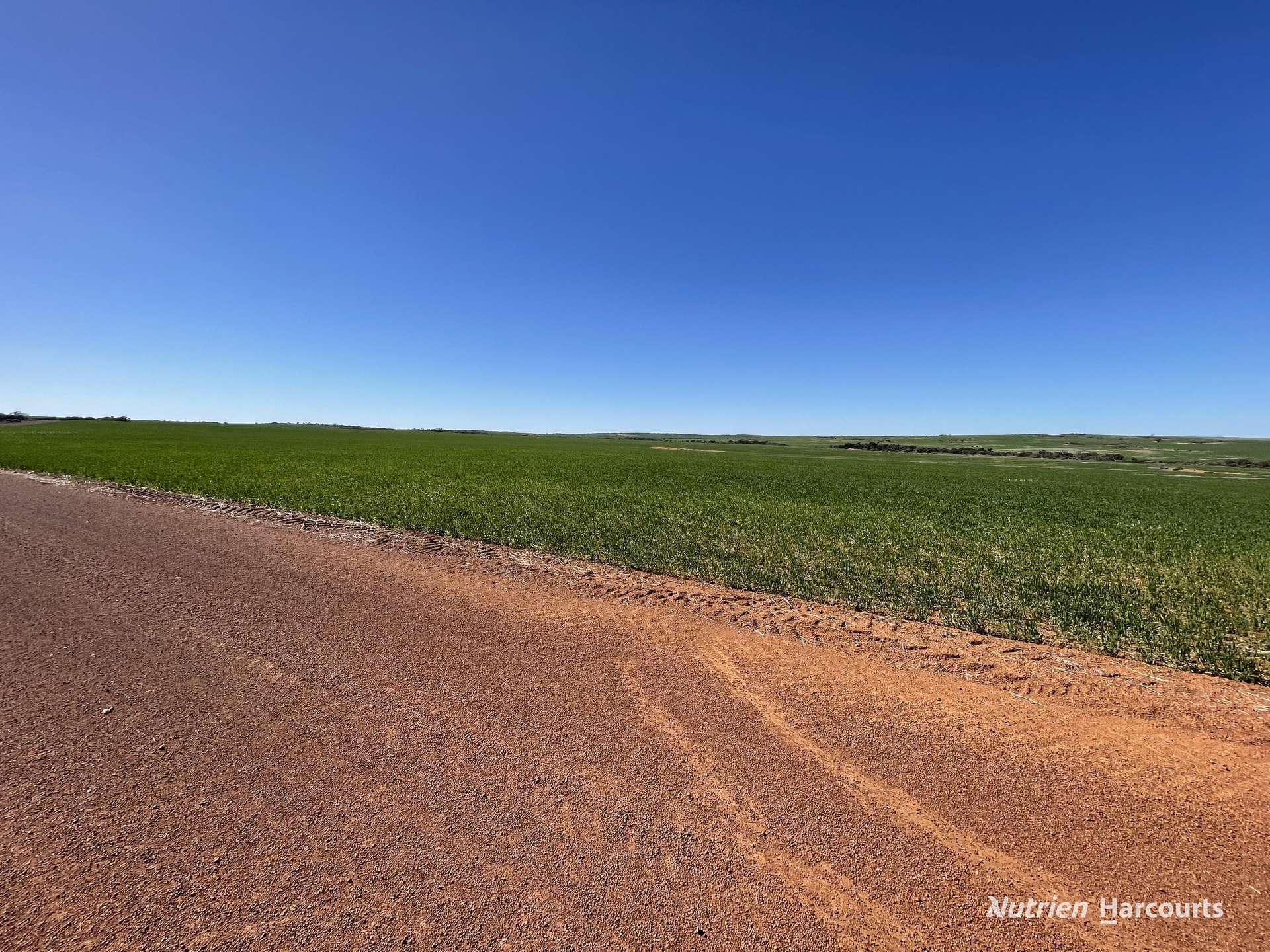 1141 Arrinooka Road, Canna For Sale by Farmbuy.com - image 28