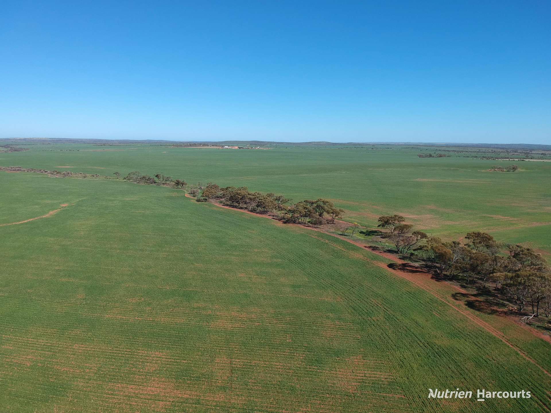 1141 Arrinooka Road, Canna For Sale by Farmbuy.com - image 3