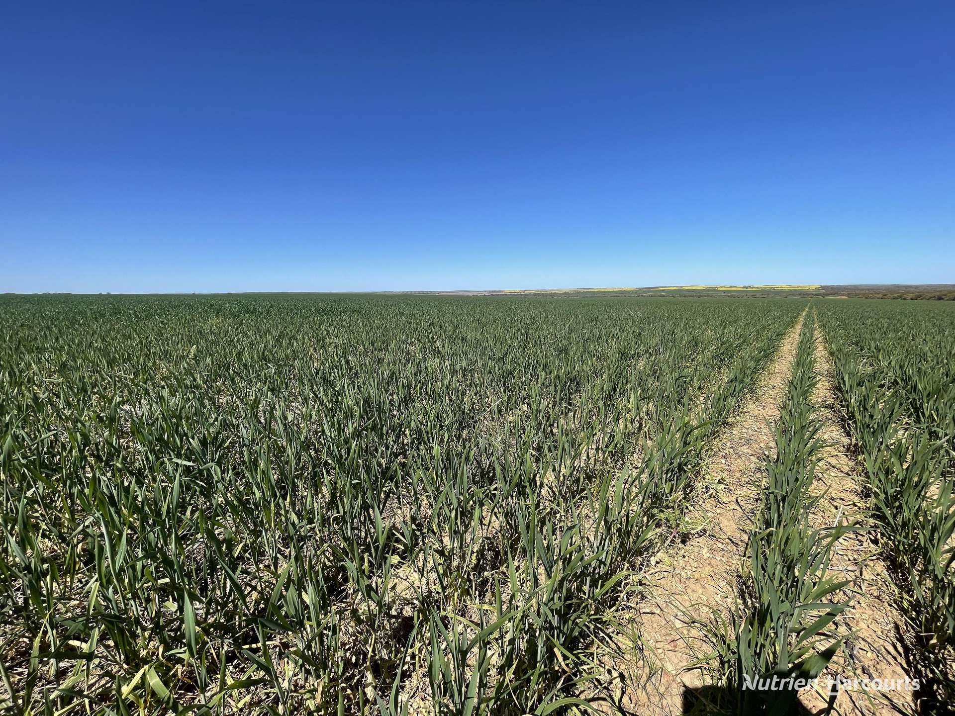 1141 Arrinooka Road, Canna For Sale by Farmbuy.com - image 5