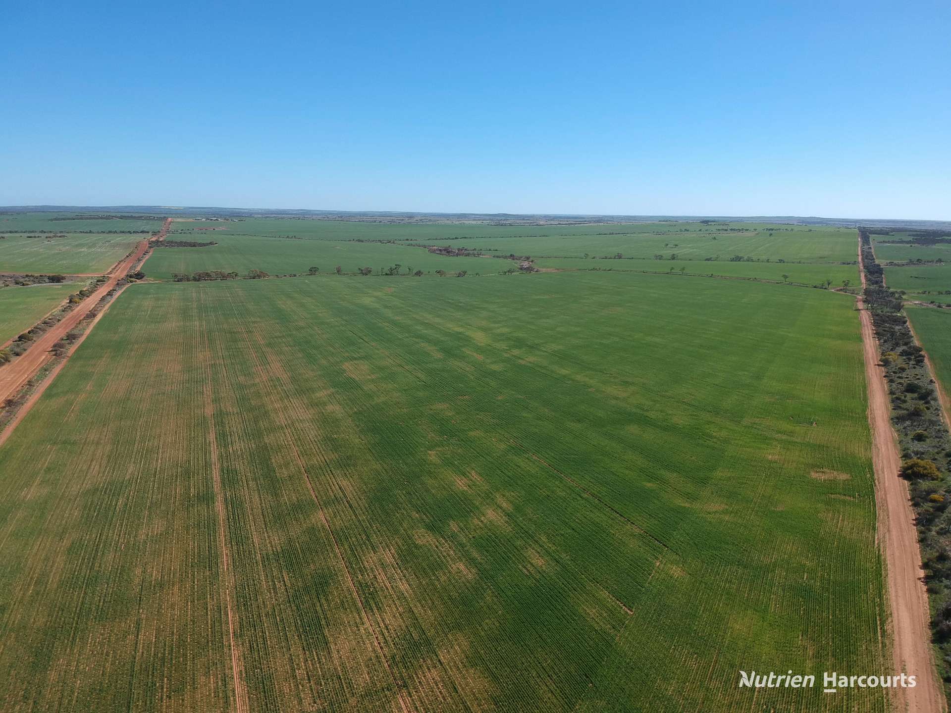 1141 Arrinooka Road, Canna For Sale by Farmbuy.com - image 2