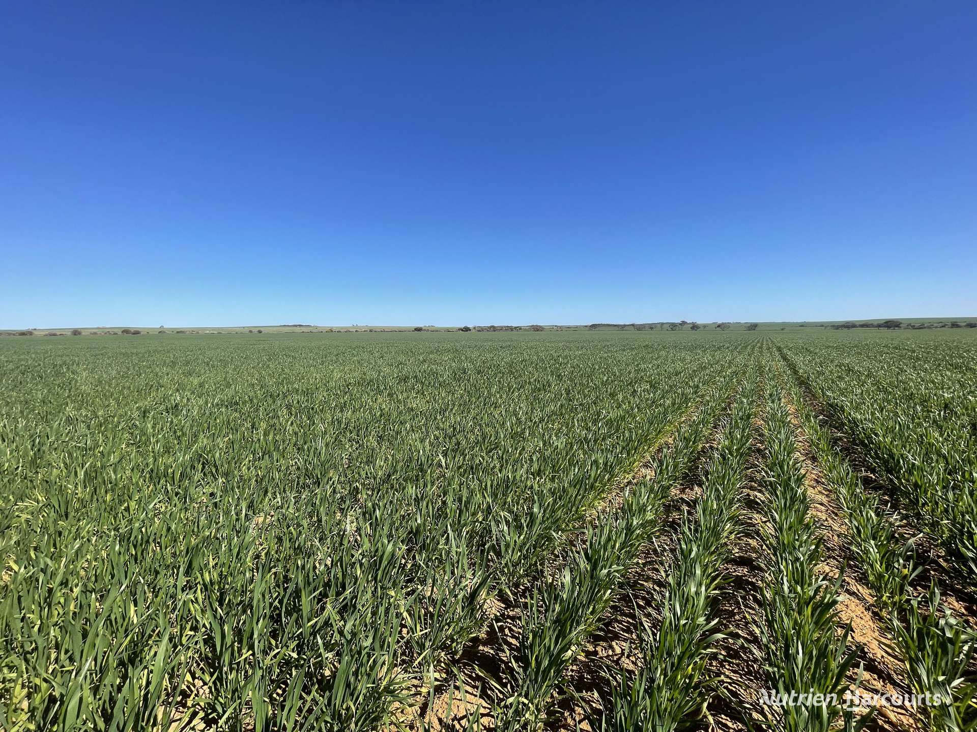 1141 Arrinooka Road, Canna For Sale by Farmbuy.com - image 19