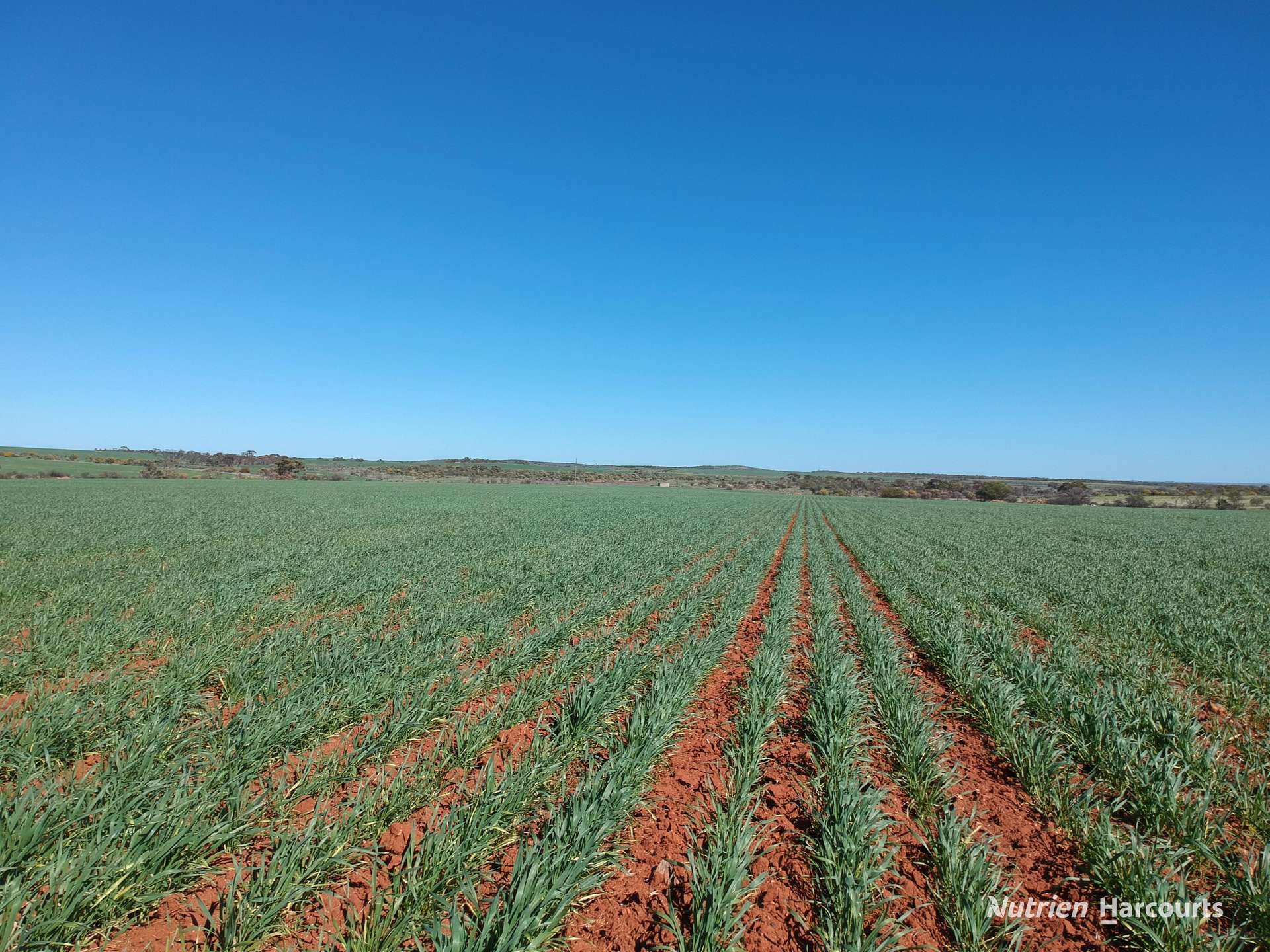 1141 Arrinooka Road, Canna For Sale by Farmbuy.com - image 7