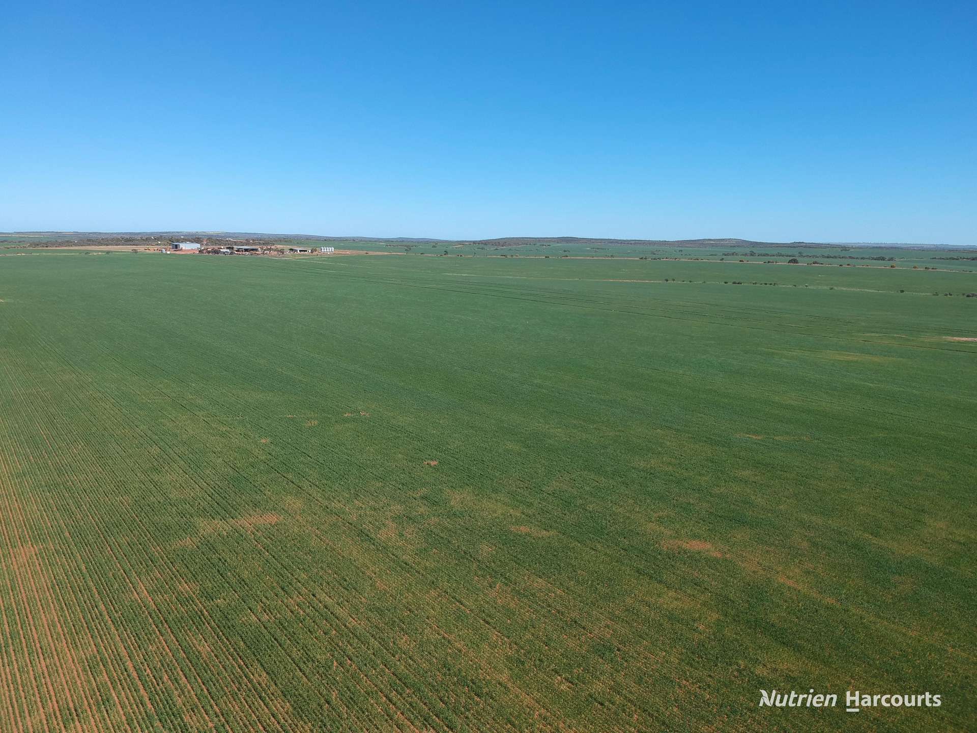 1141 Arrinooka Road, Canna For Sale by Farmbuy.com - image 17