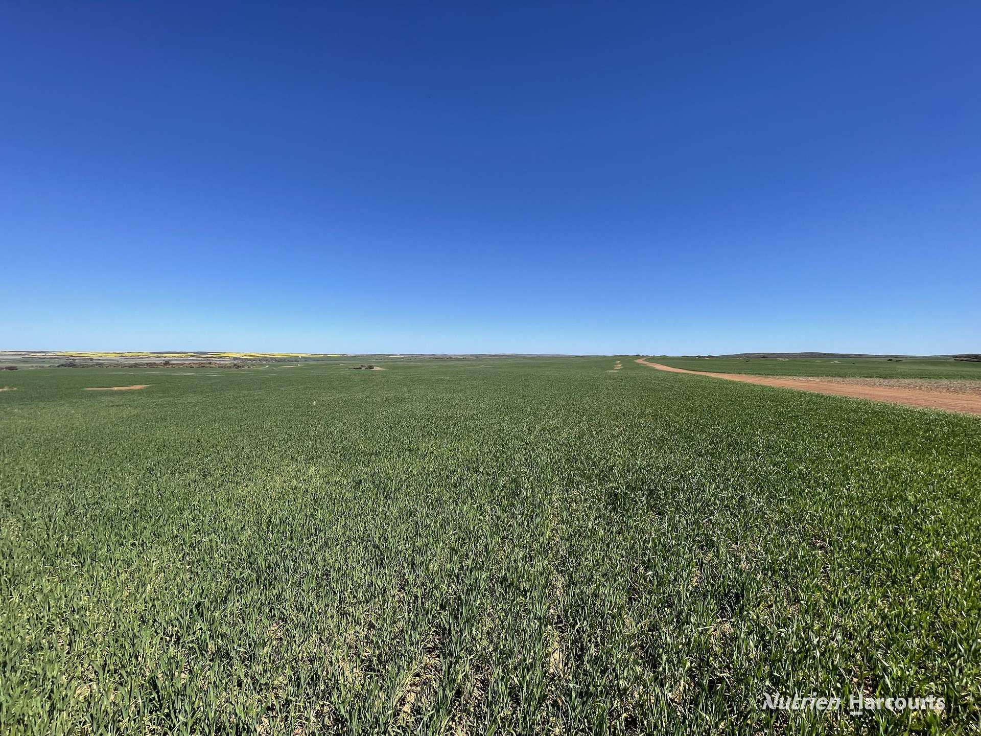 1141 Arrinooka Road, Canna For Sale by Farmbuy.com - image 30