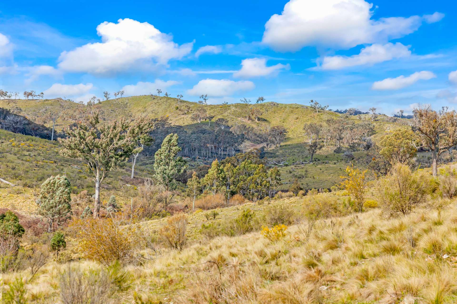 1092 Gowan Road, Lower Lewis Ponds Auction by Farmbuy.com - image 10