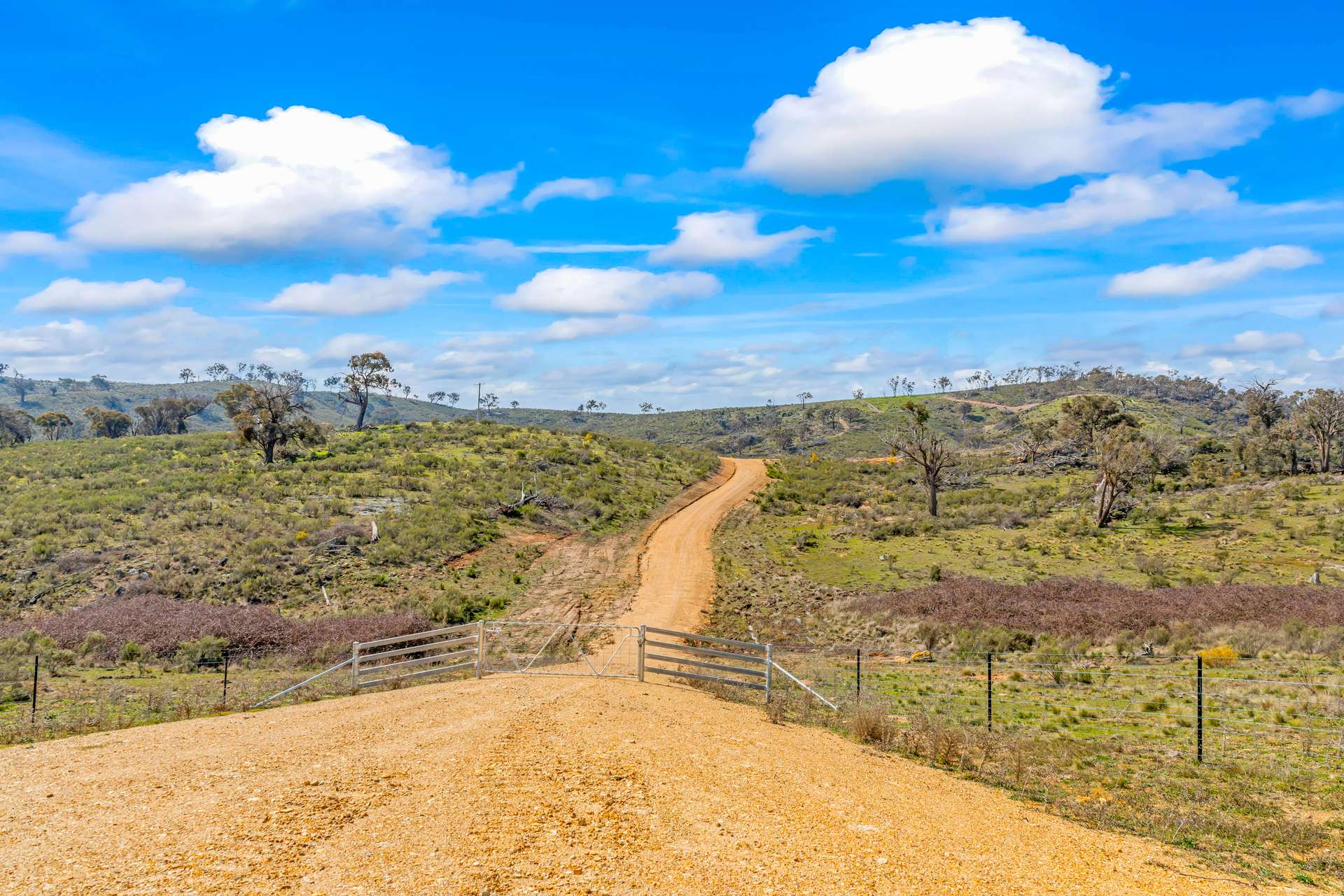 1092 Gowan Road, Lower Lewis Ponds Auction by Farmbuy.com - image 2