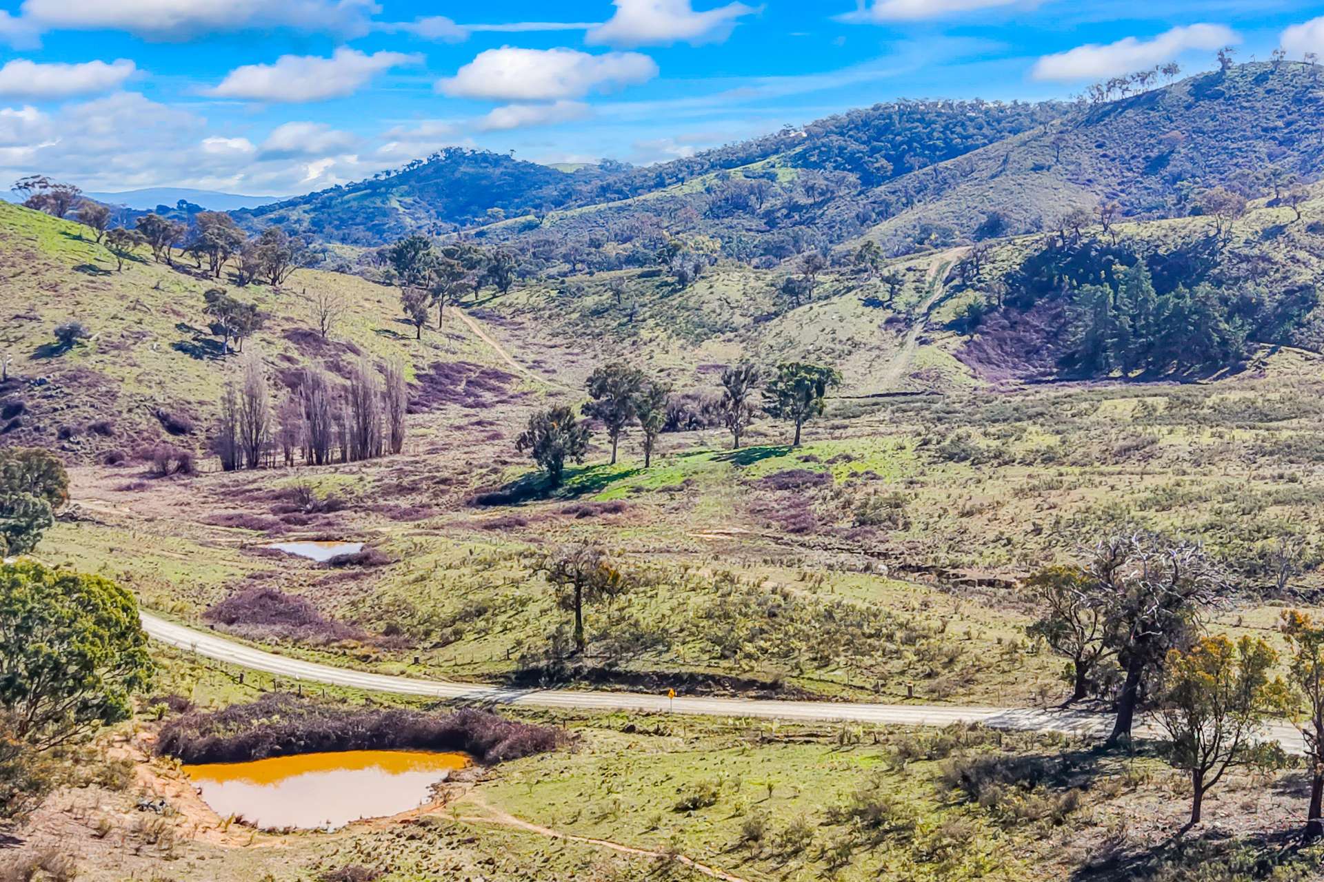 1092 Gowan Road, Lower Lewis Ponds Auction by Farmbuy.com - image 17