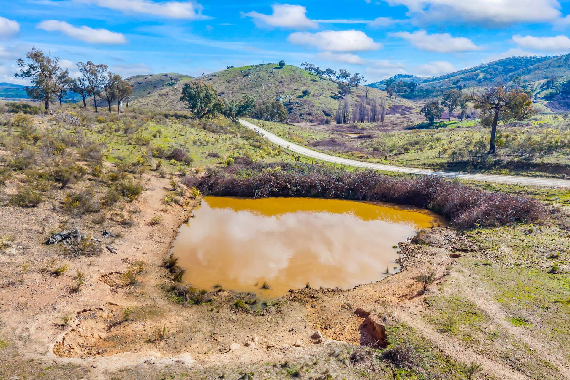 1092 Gowan Road, Lower Lewis Ponds Auction by Farmbuy.com - image 7