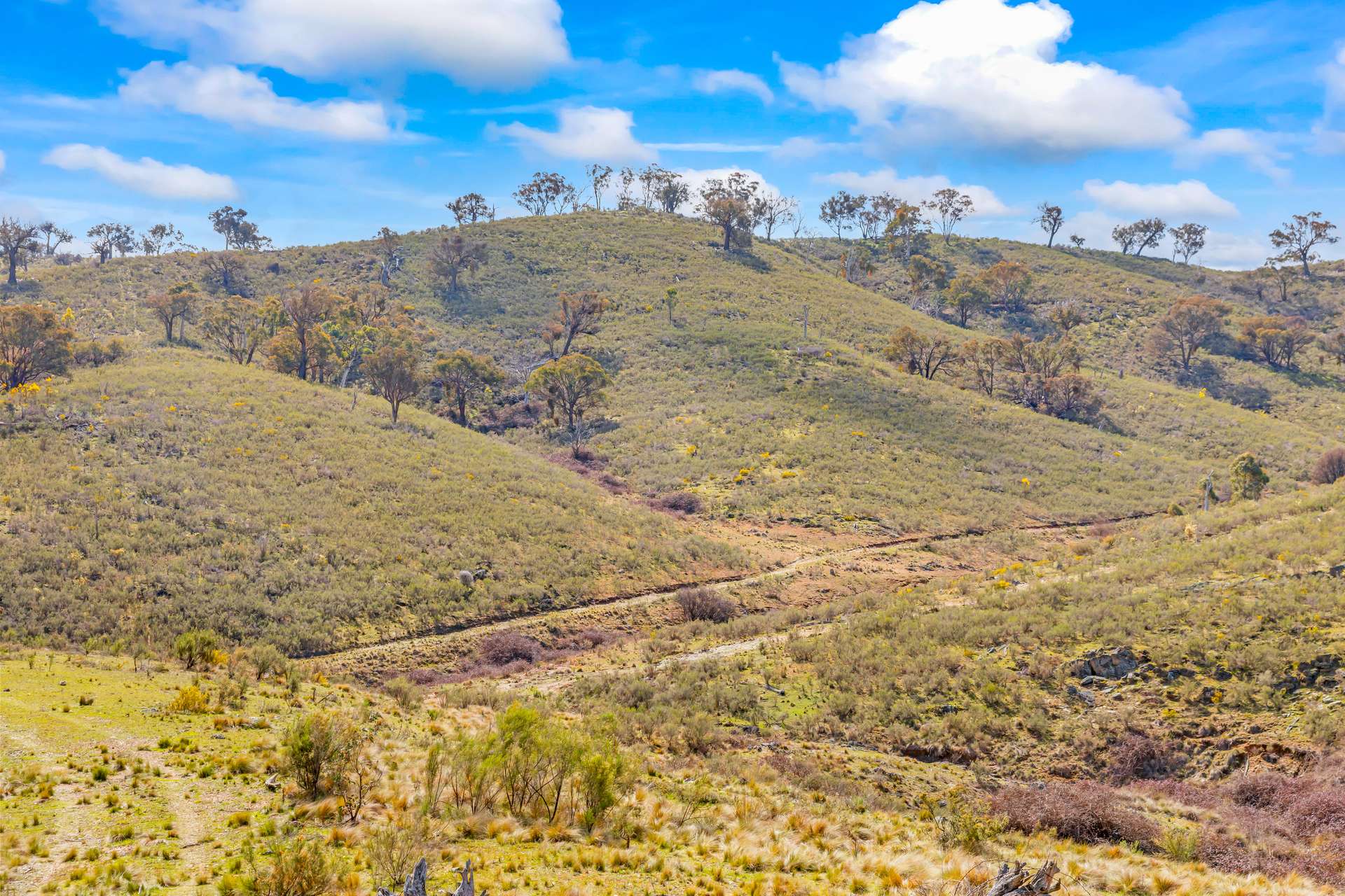 1092 Gowan Road, Lower Lewis Ponds Auction by Farmbuy.com - image 11