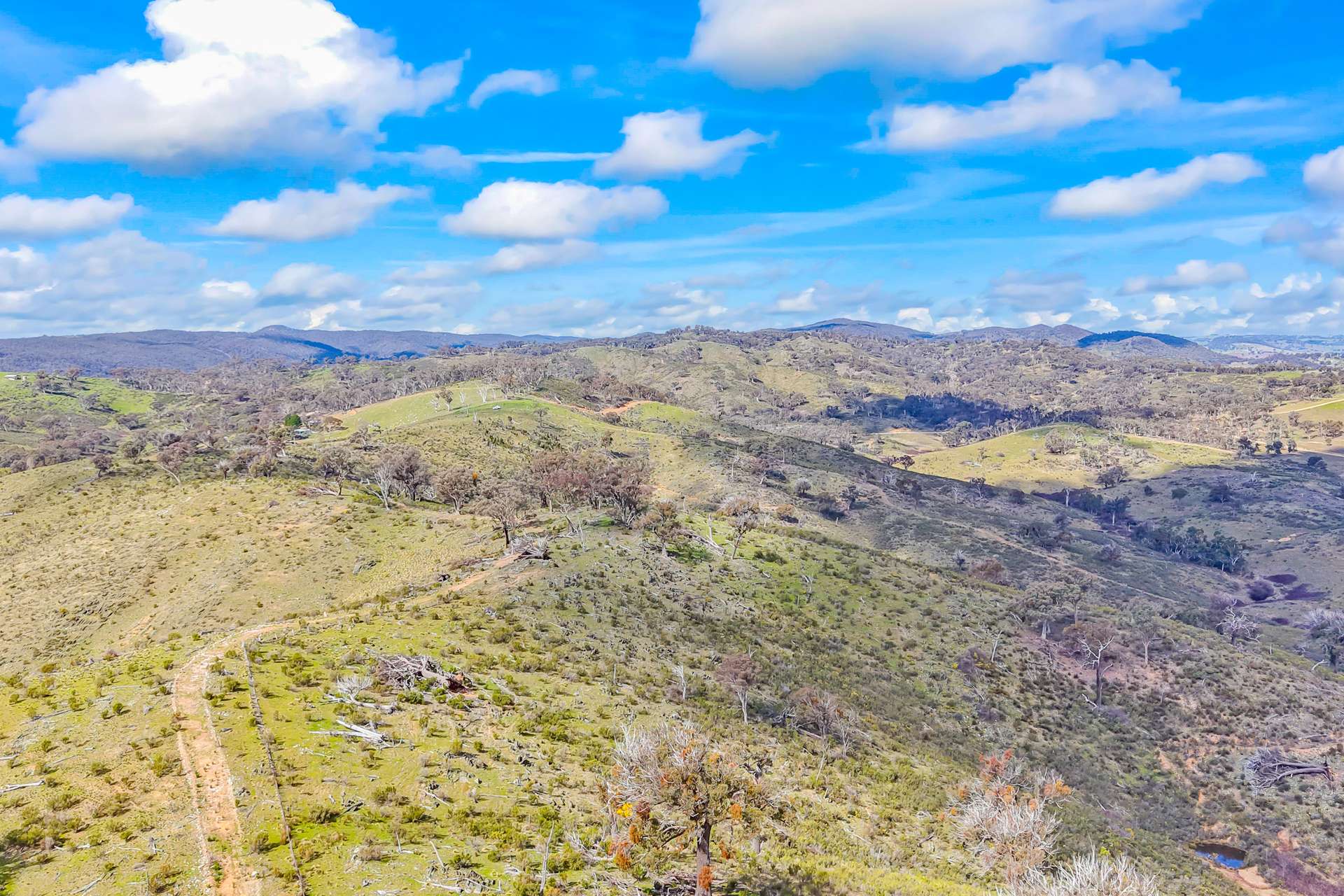 1092 Gowan Road, Lower Lewis Ponds Auction by Farmbuy.com - image 21
