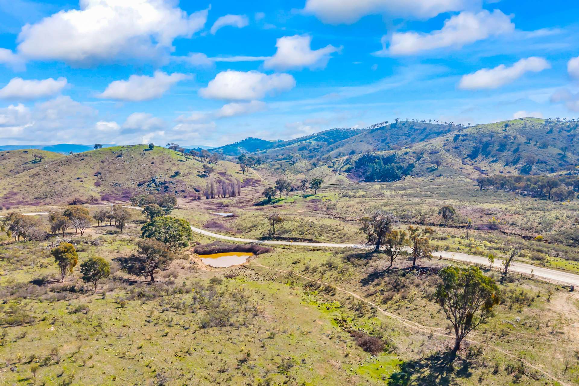 1092 Gowan Road, Lower Lewis Ponds Auction by Farmbuy.com - image 18