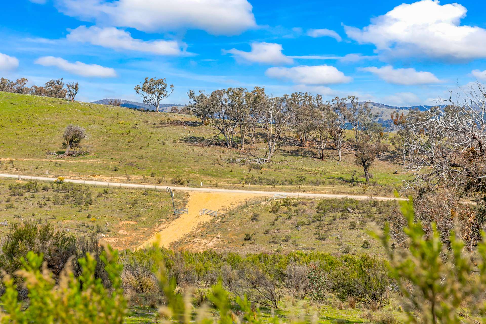 1092 Gowan Road, Lower Lewis Ponds Auction by Farmbuy.com - image 12
