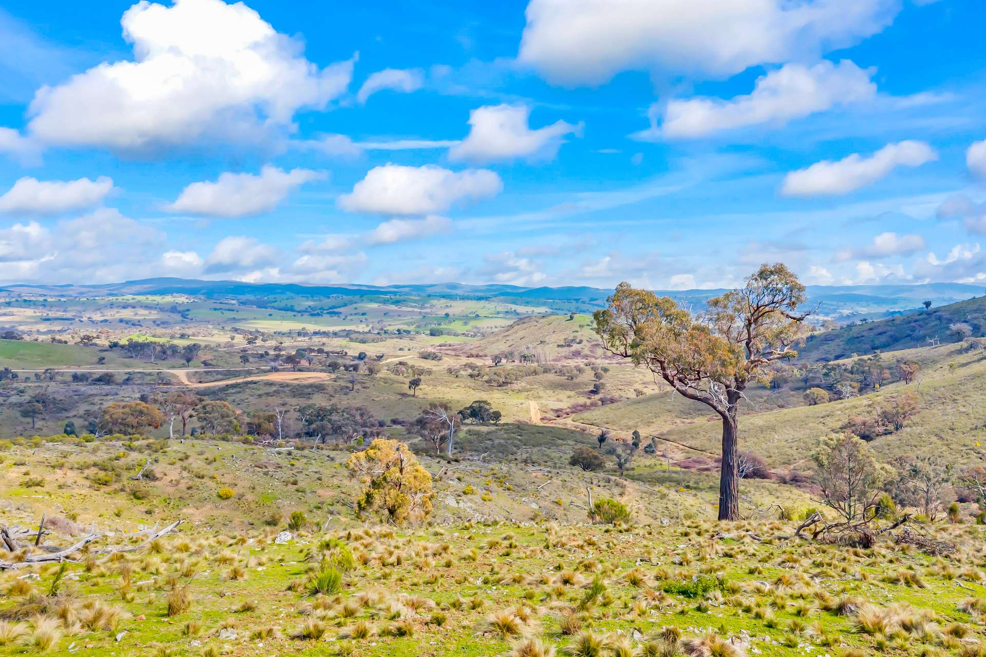 1092 Gowan Road, Lower Lewis Ponds Auction by Farmbuy.com - image 23
