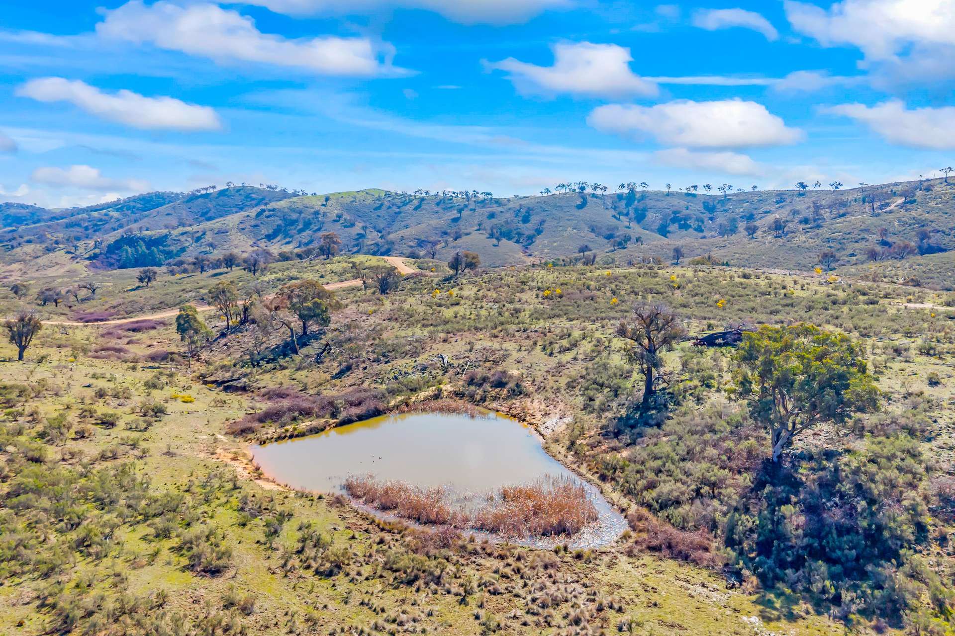 1092 Gowan Road, Lower Lewis Ponds Auction by Farmbuy.com - image 3