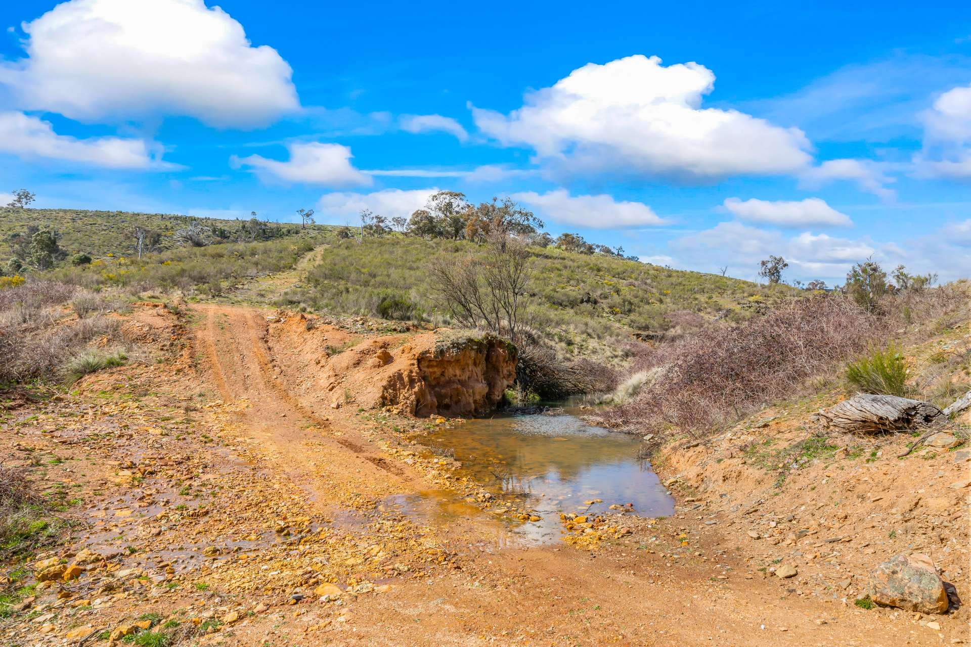 1092 Gowan Road, Lower Lewis Ponds Auction by Farmbuy.com - image 6