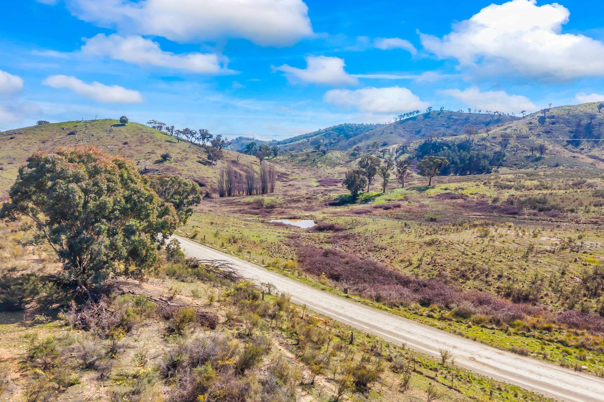 1092 Gowan Road, Lower Lewis Ponds Auction by Farmbuy.com - image 19