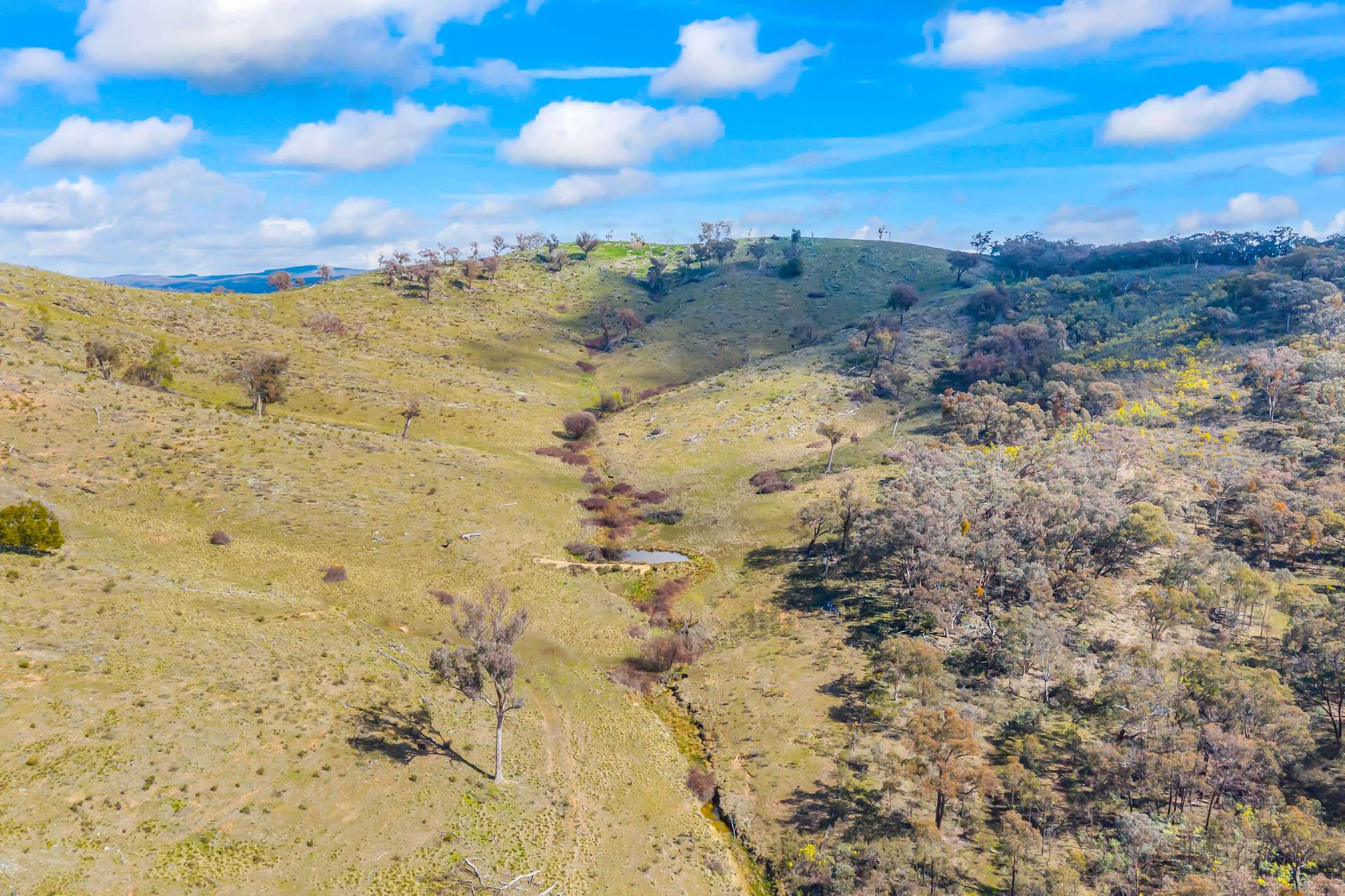 1092 Gowan Road, Lower Lewis Ponds Auction by Farmbuy.com - image 20