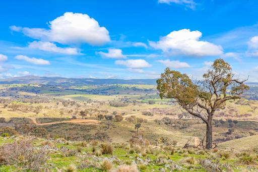 1092 Gowan Road, Lower Lewis Ponds NSW 2800