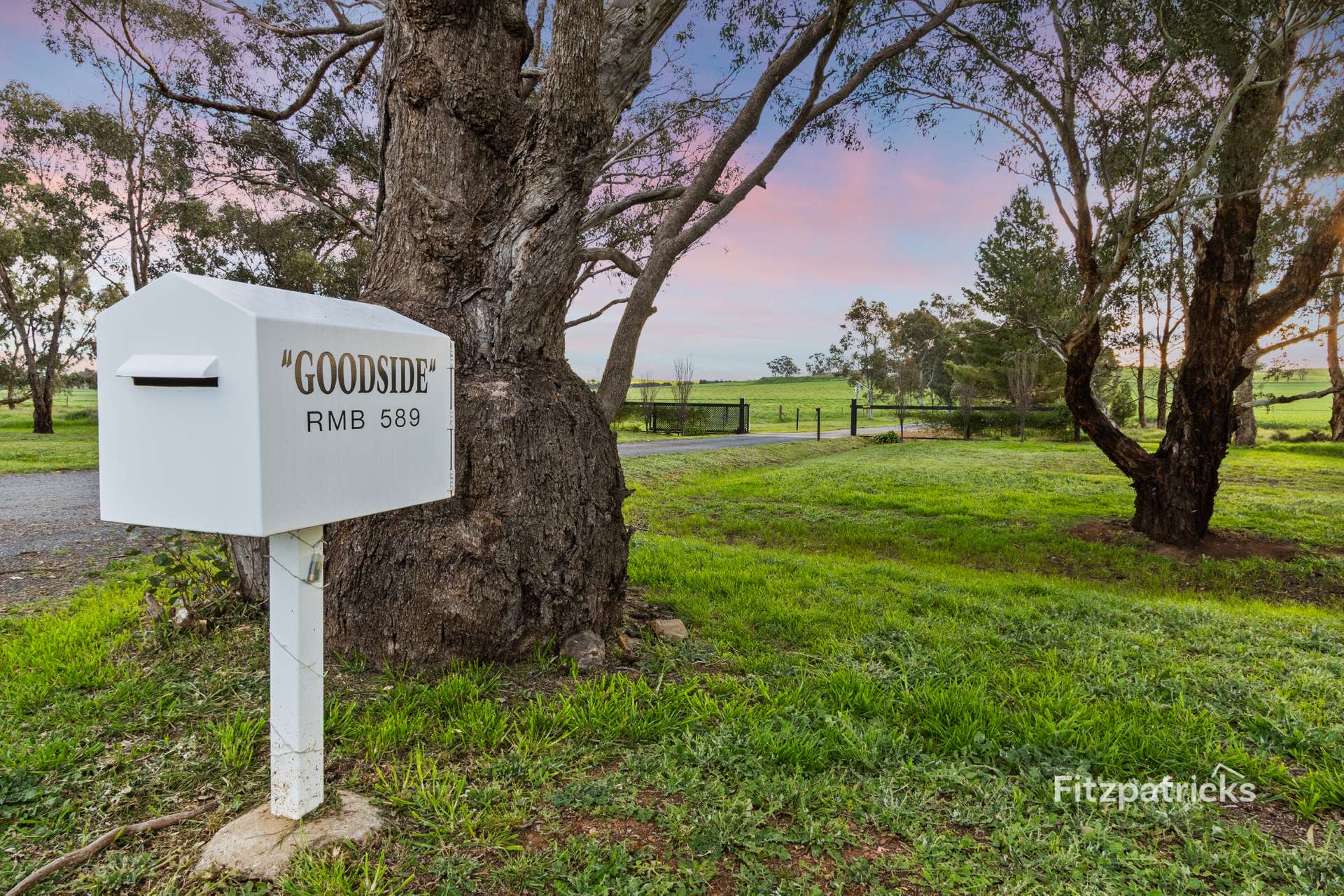 589 Marrar South Road, Yathella For Sale by Farmbuy.com - image 2