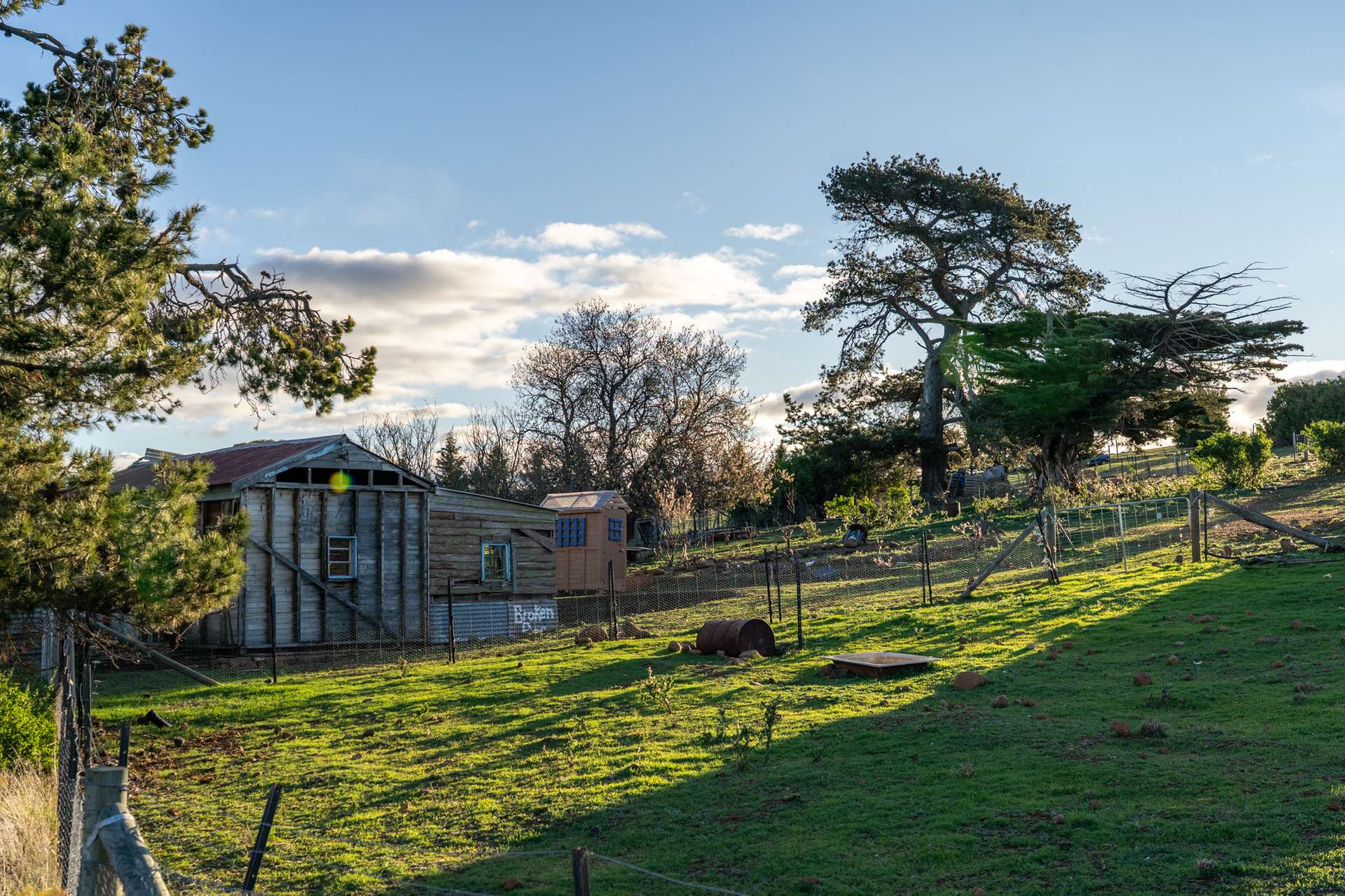 8385 Midland Highway, Tunbridge For Sale by Farmbuy.com - image 11