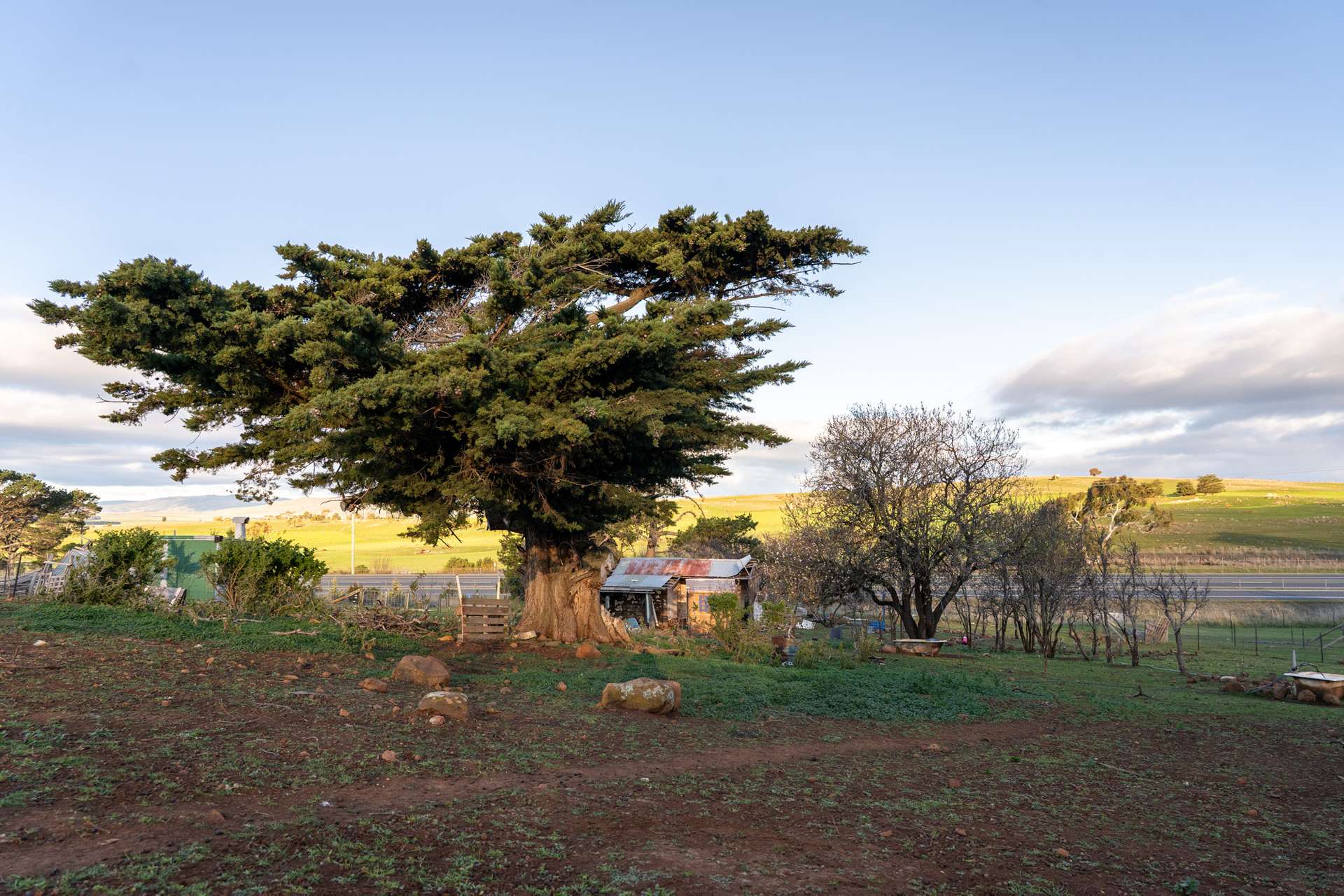 8385 Midland Highway, Tunbridge For Sale by Farmbuy.com - image 13