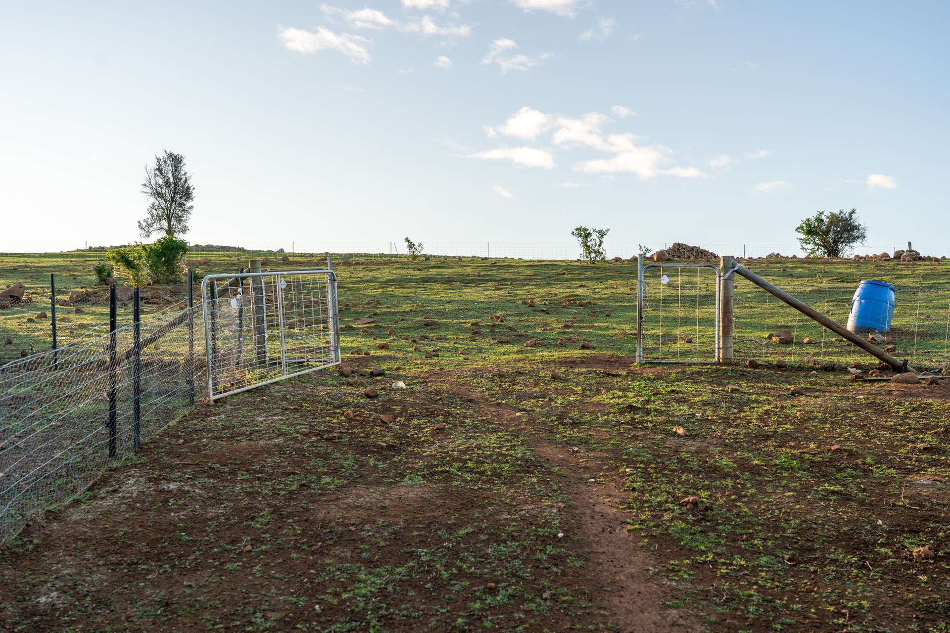 8385 Midland Highway, Tunbridge For Sale by Farmbuy.com - image 10