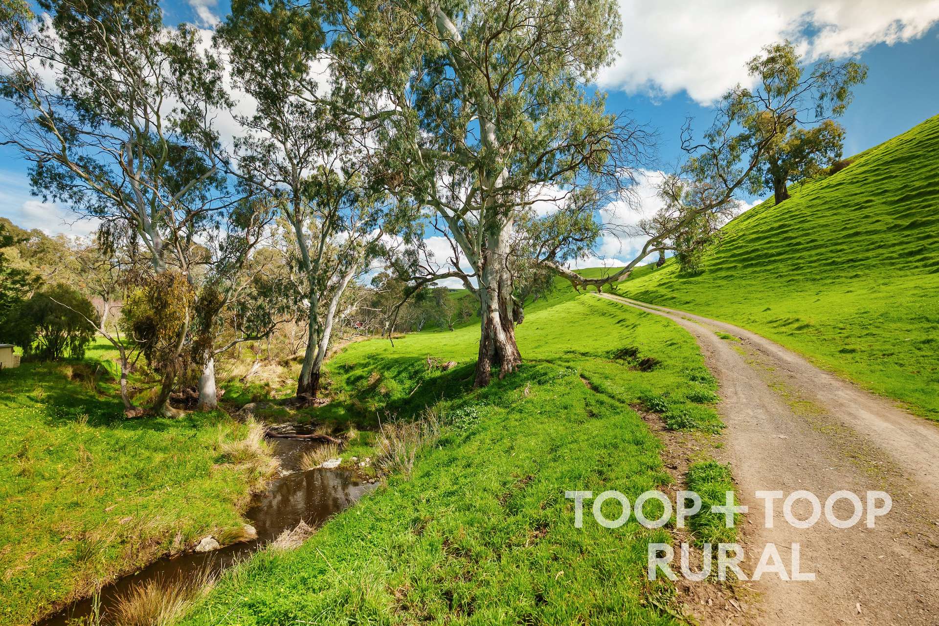 109 Springton Road, Williamstown For Sale by Farmbuy.com - image 27