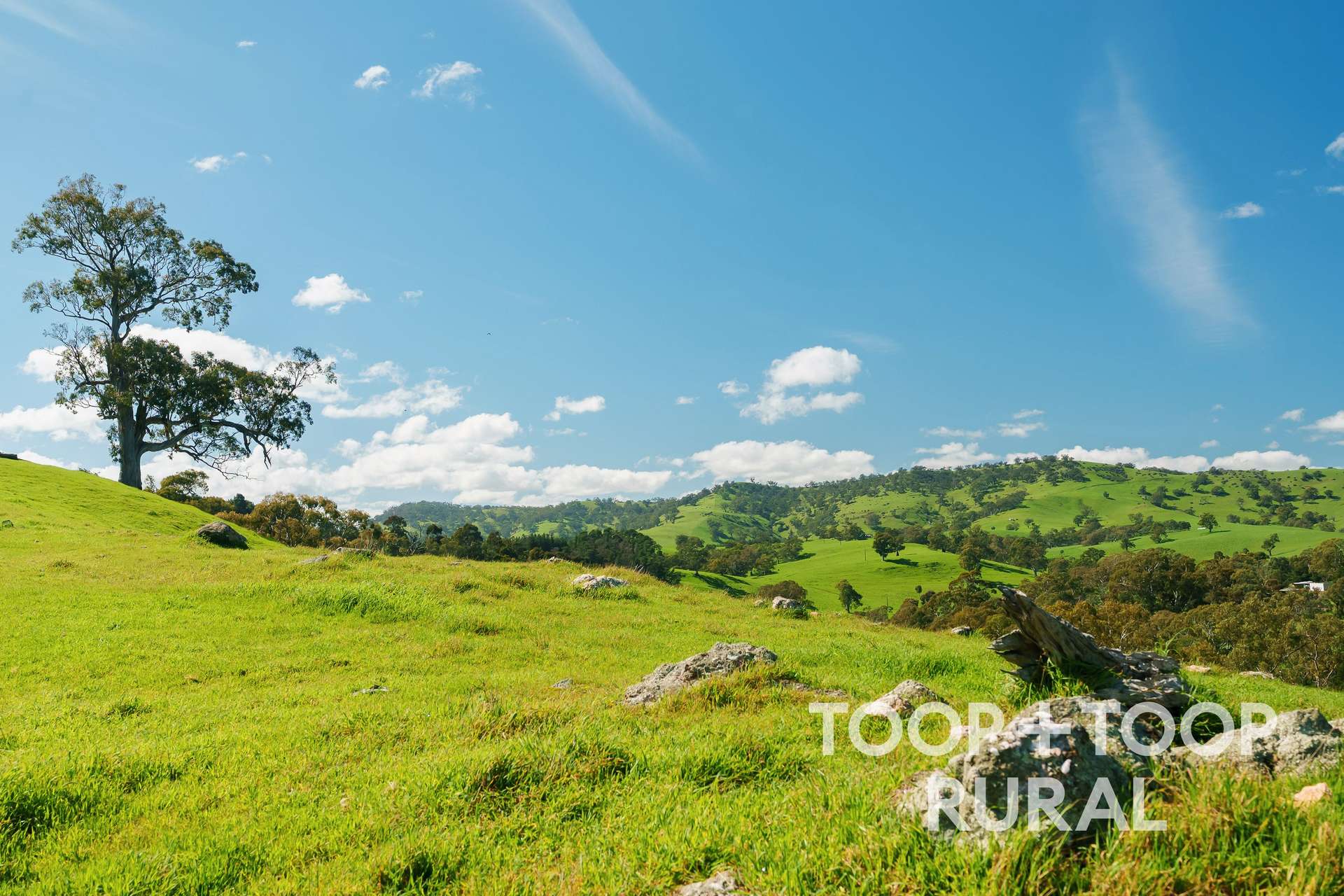 109 Springton Road, Williamstown For Sale by Farmbuy.com - image 35